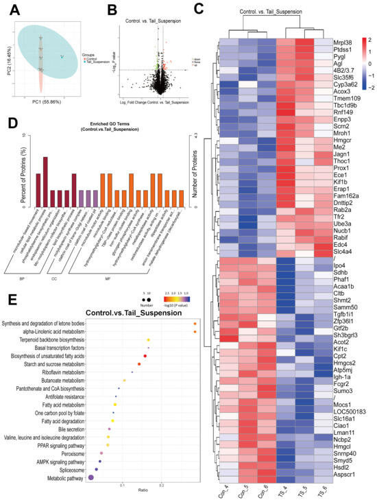 Integration of Proteomic and Metabolomic Data Reveals the Lipid ...
