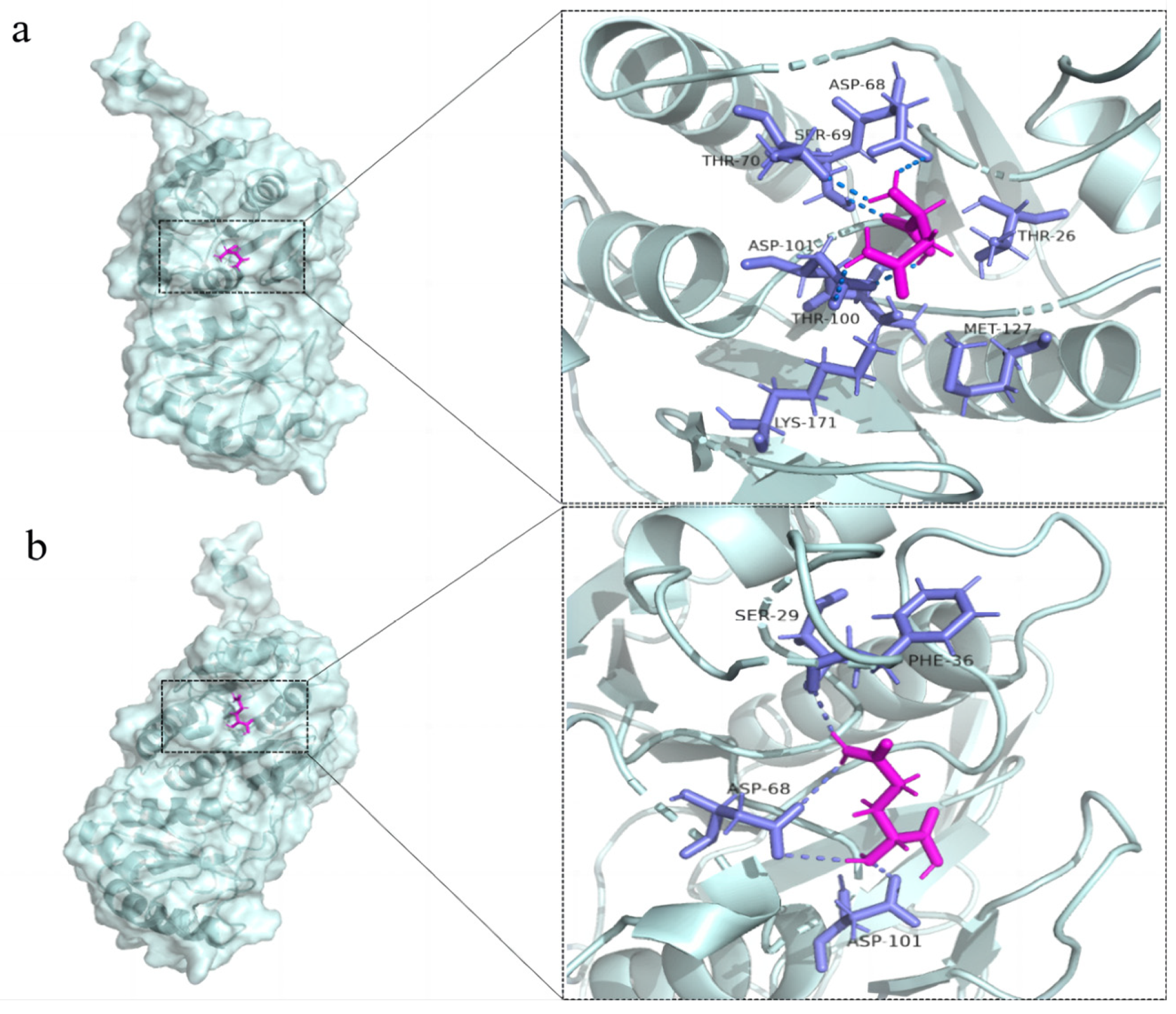 Biomolecules 14 00686 g001