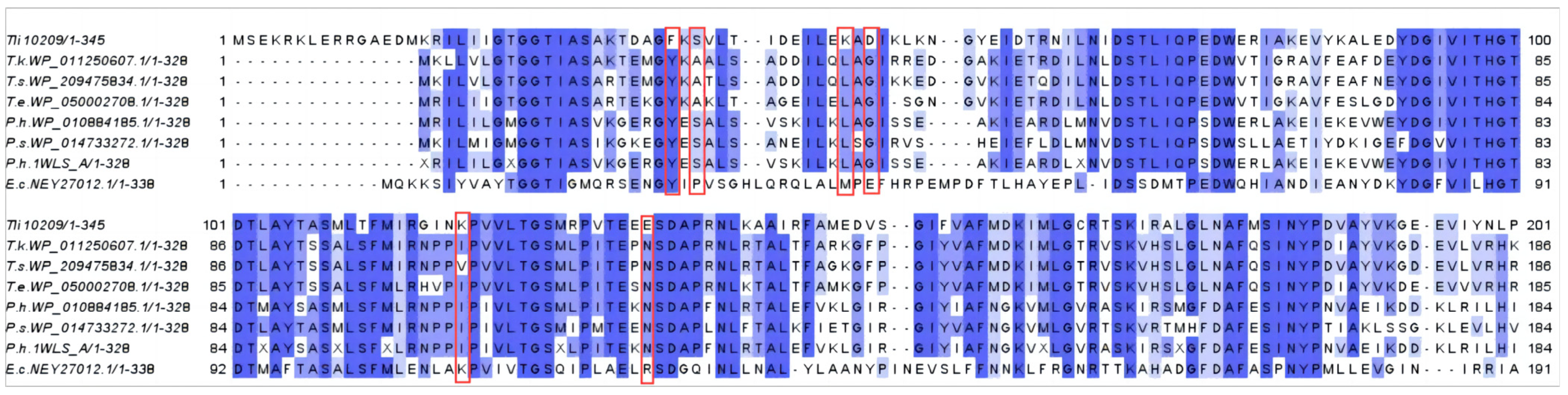 Biomolecules 14 00686 g002