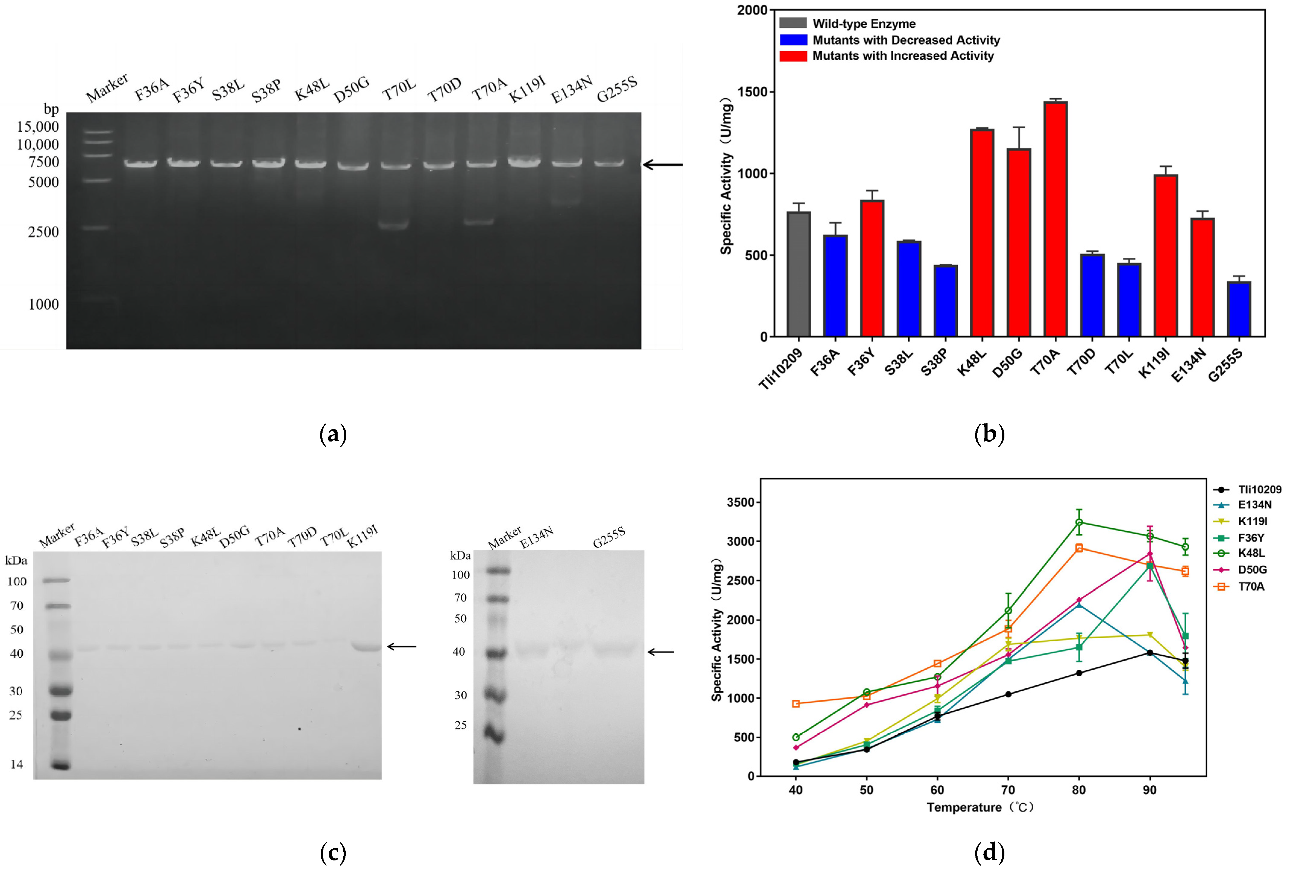 Biomolecules 14 00686 g003