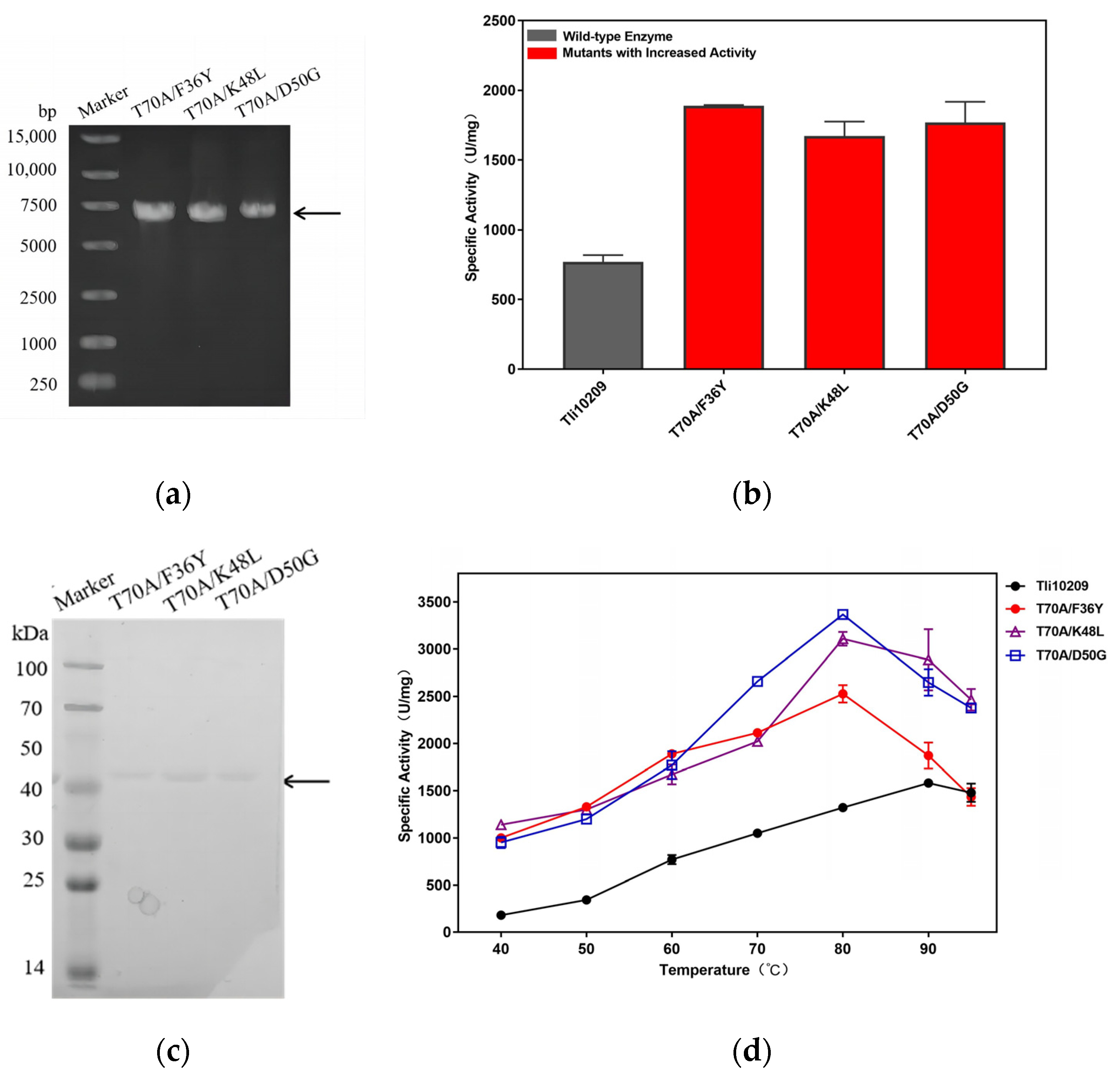 Biomolecules 14 00686 g004