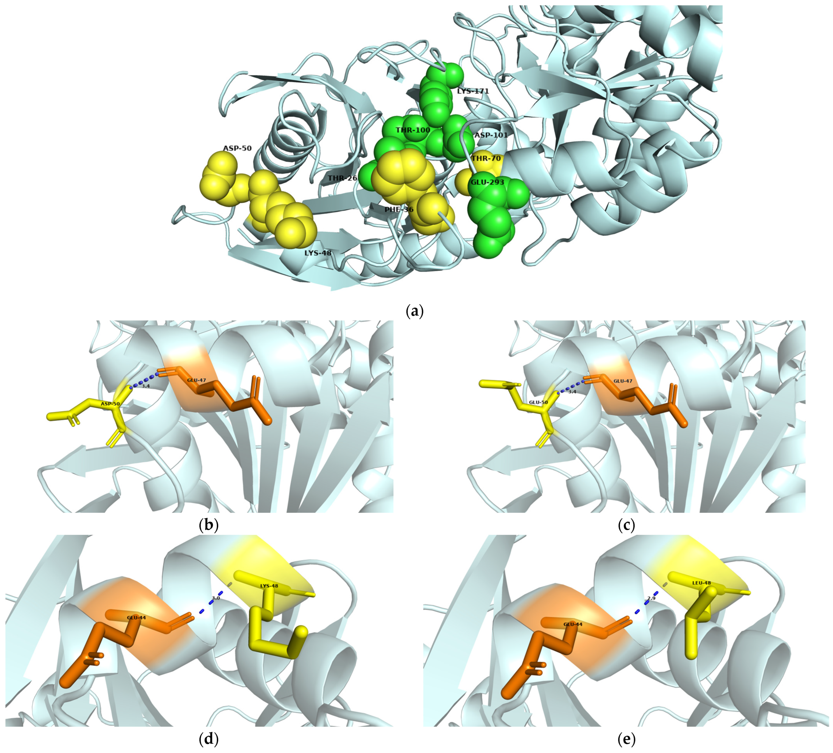 Biomolecules 14 00686 g006a