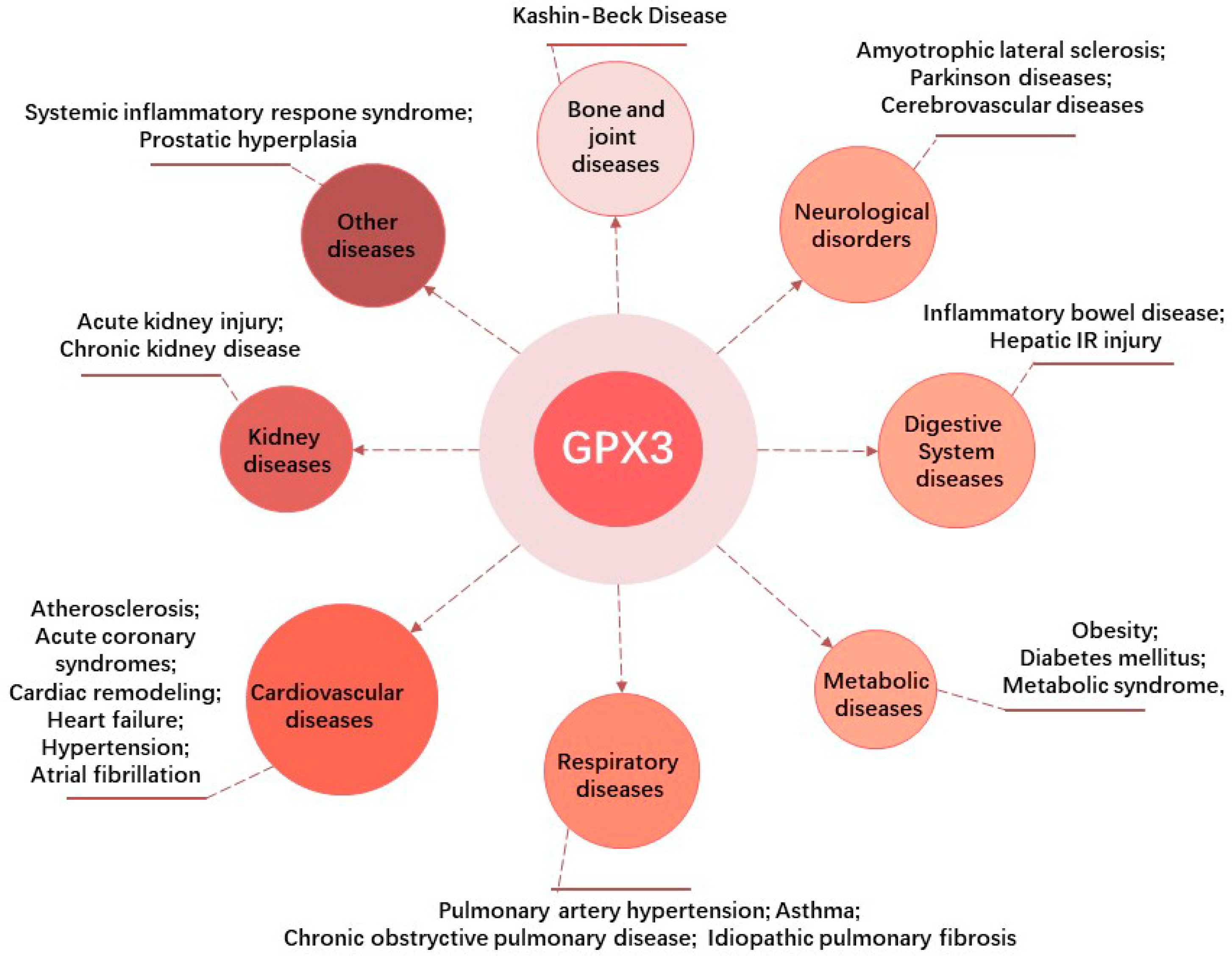 Biomolecules 14 00689 g003