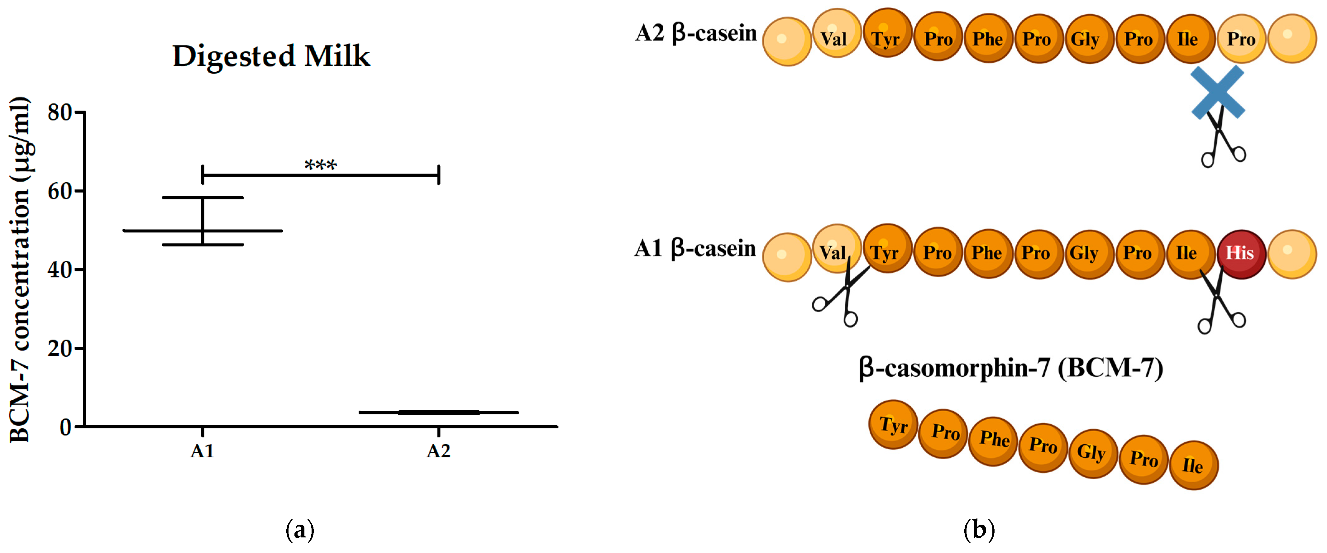 Biomolecules 14 00690 g002