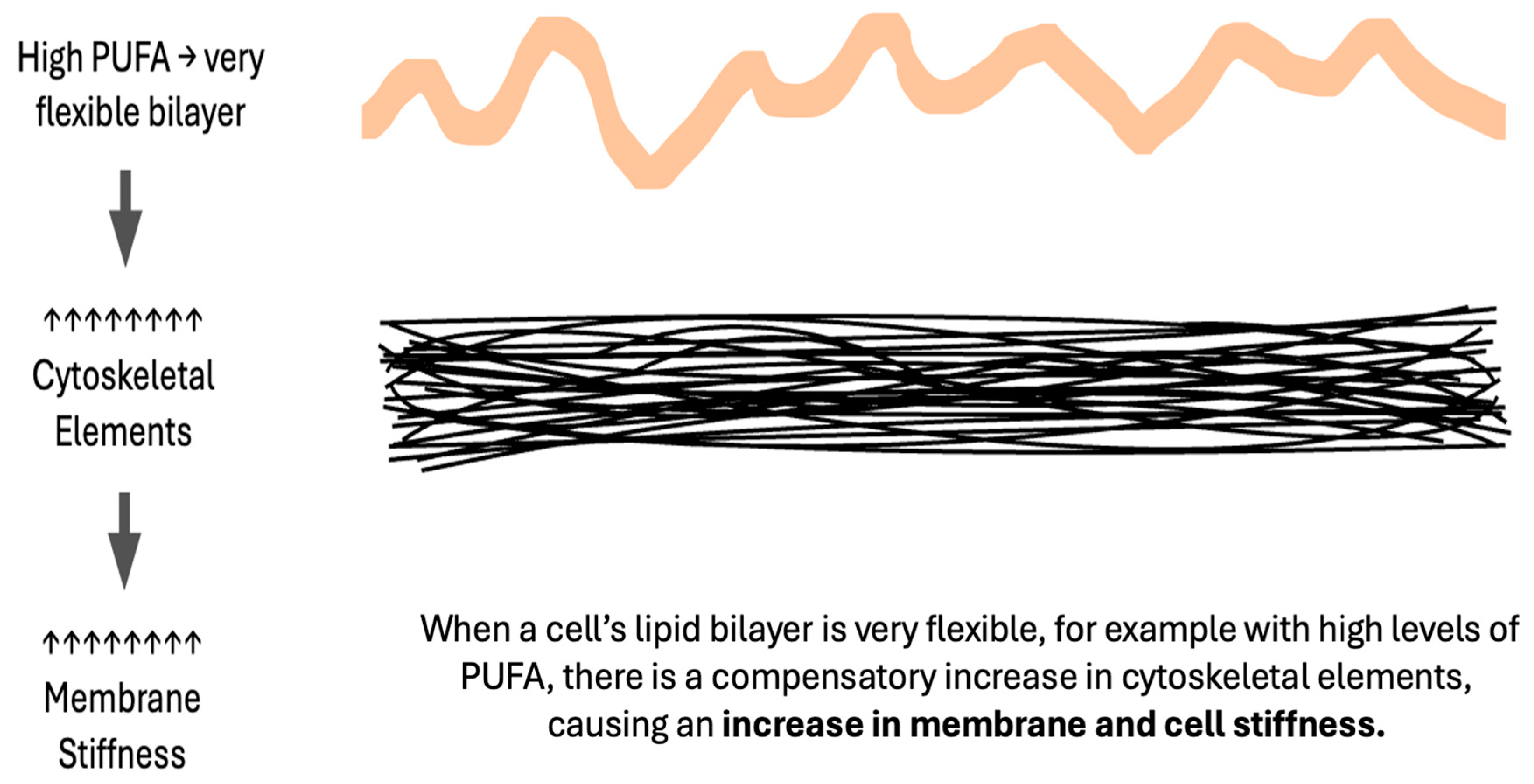 Biomolecules 14 00691 g004 Biomolecules 14 00691 g004