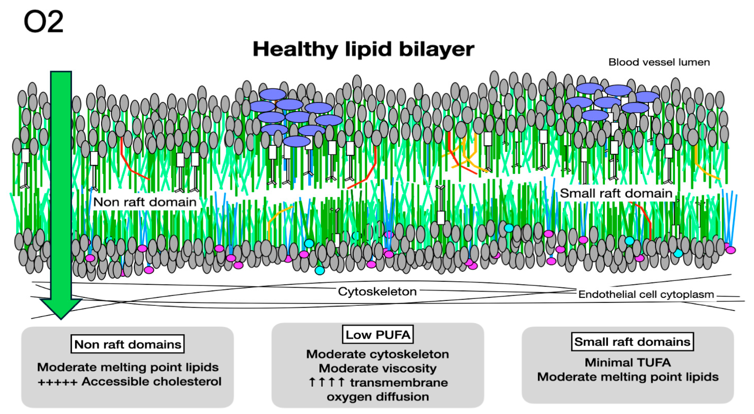 Biomolecules 14 00691 g005 Biomolecules 14 00691 g005