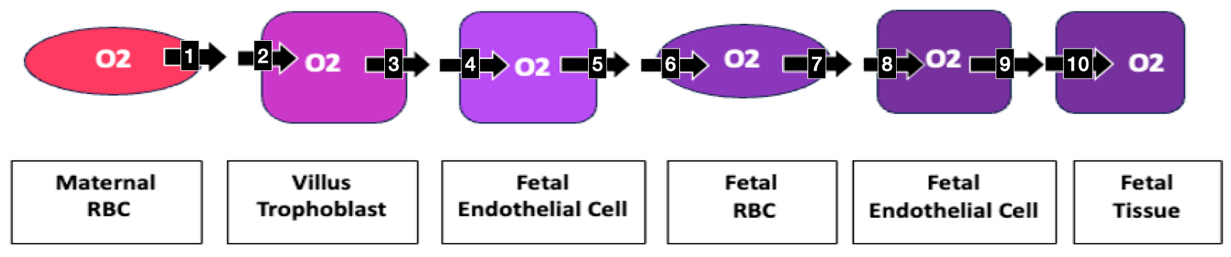 Biomolecules 14 00691 g007 Biomolecules 14 00691 g007