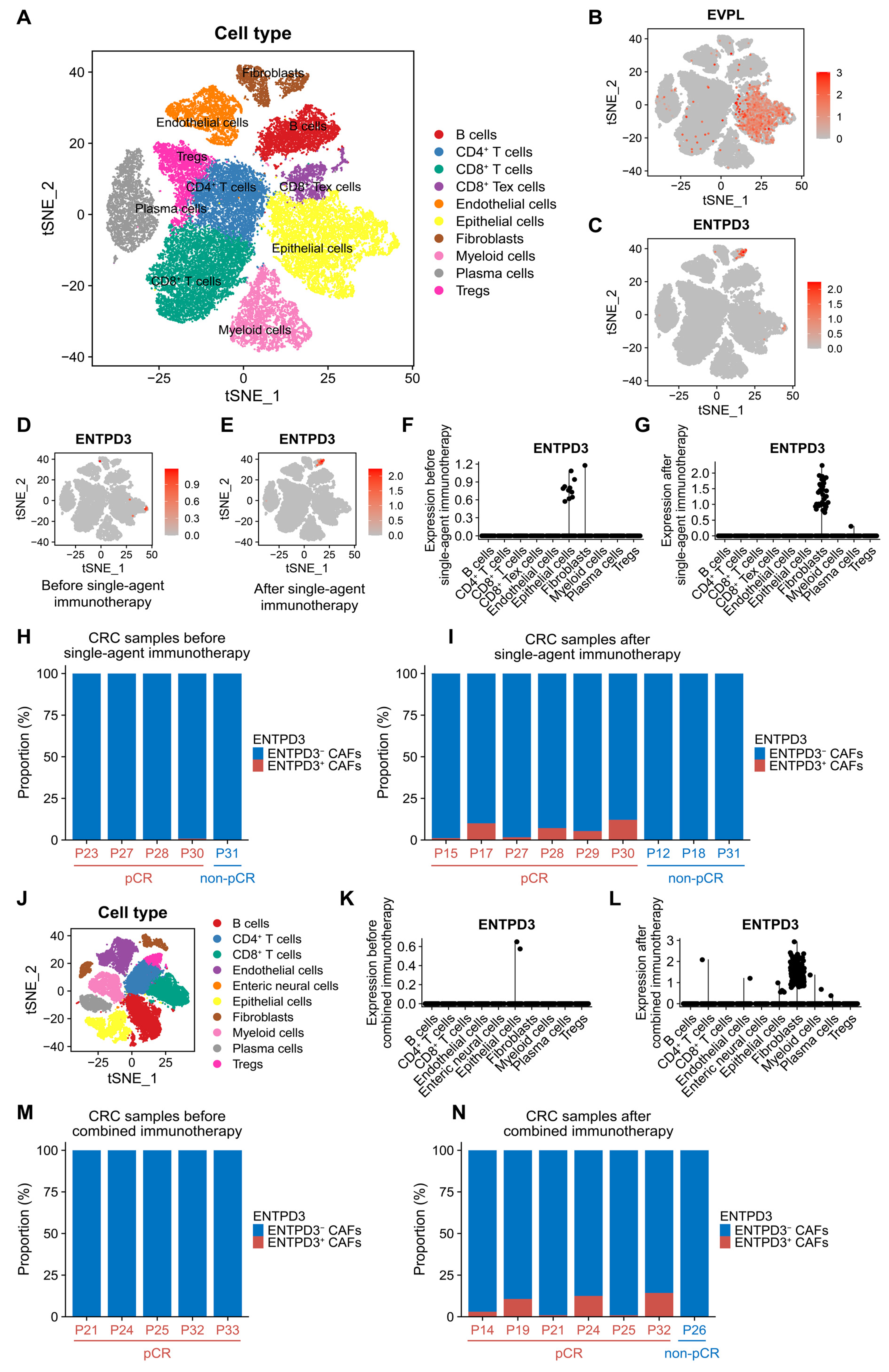 Biomolecules 14 00693 g008