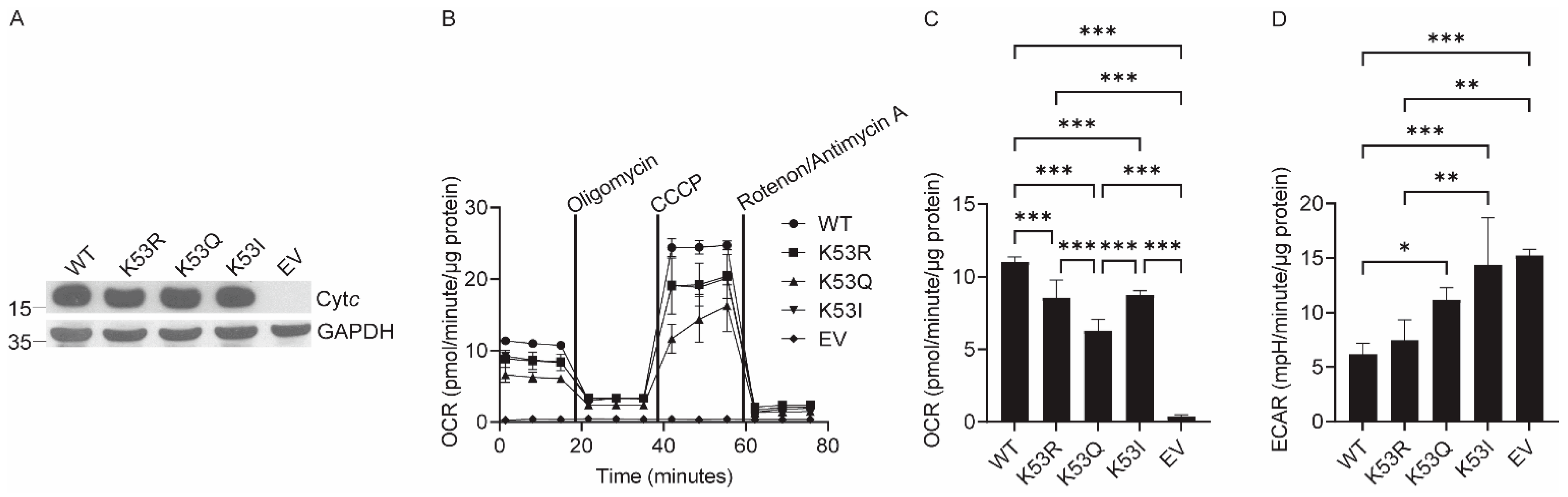 Biomolecules 14 00695 g001