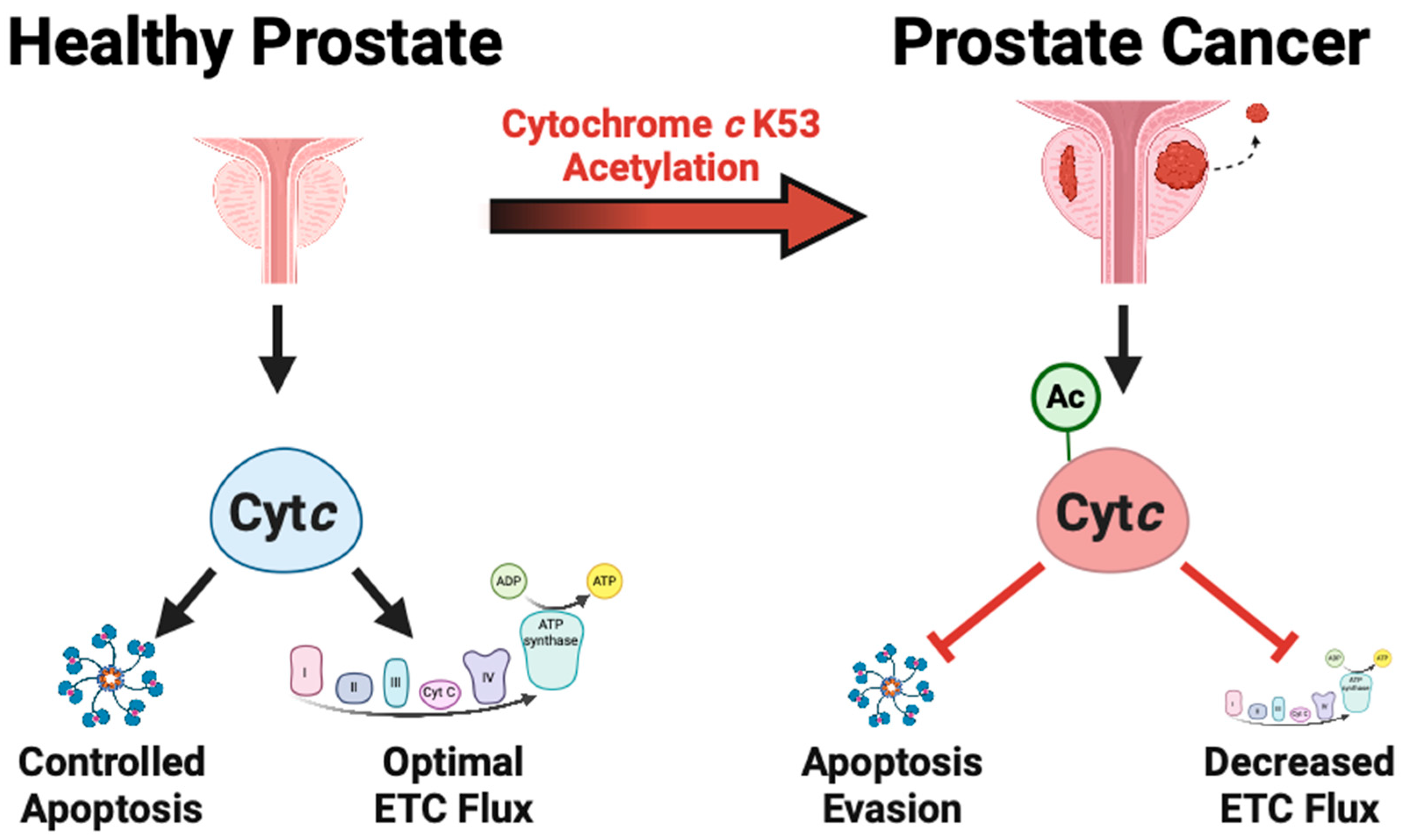 Biomolecules 14 00695 g005