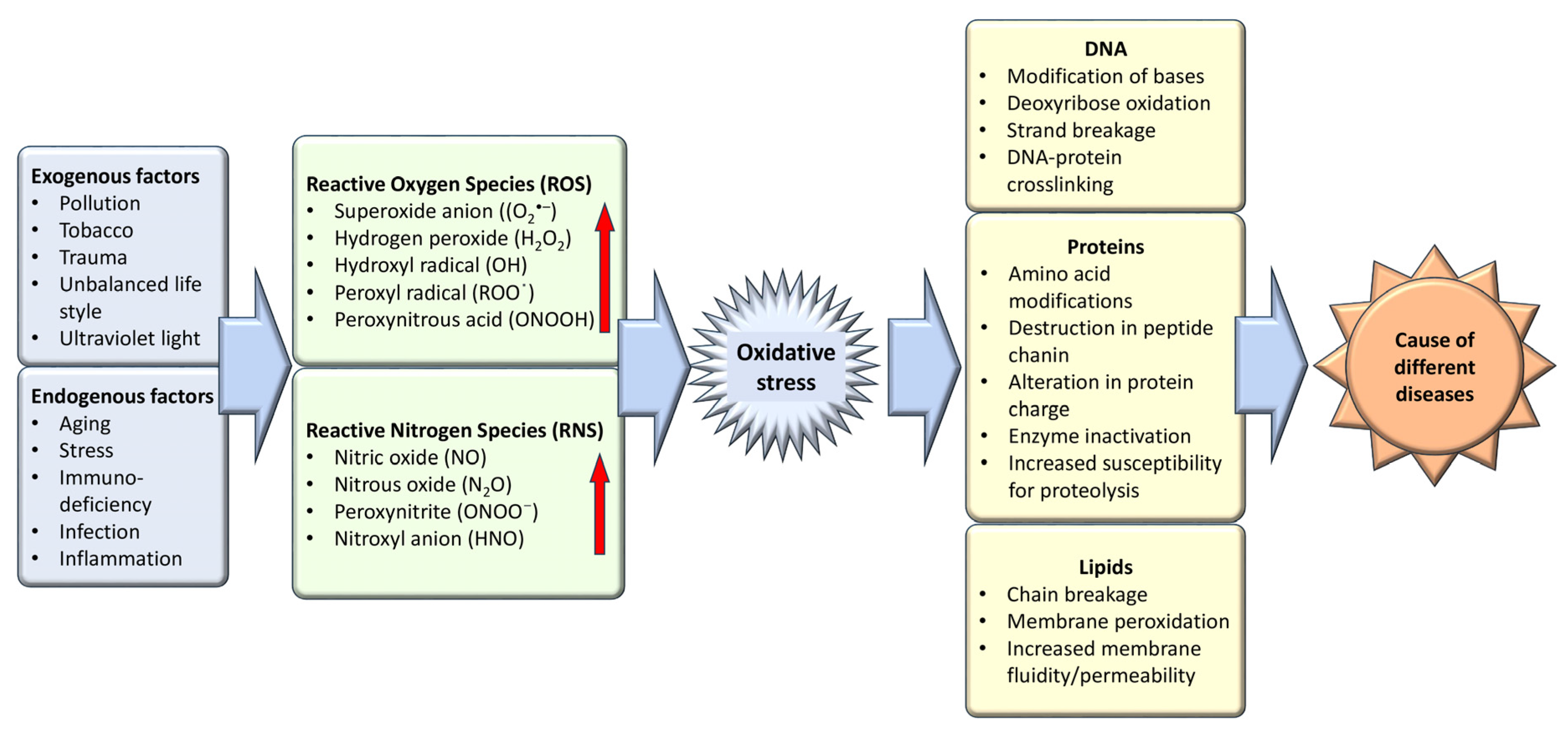 Biomolecules 14 00697 g001 Biomolecules 14 00697 g001