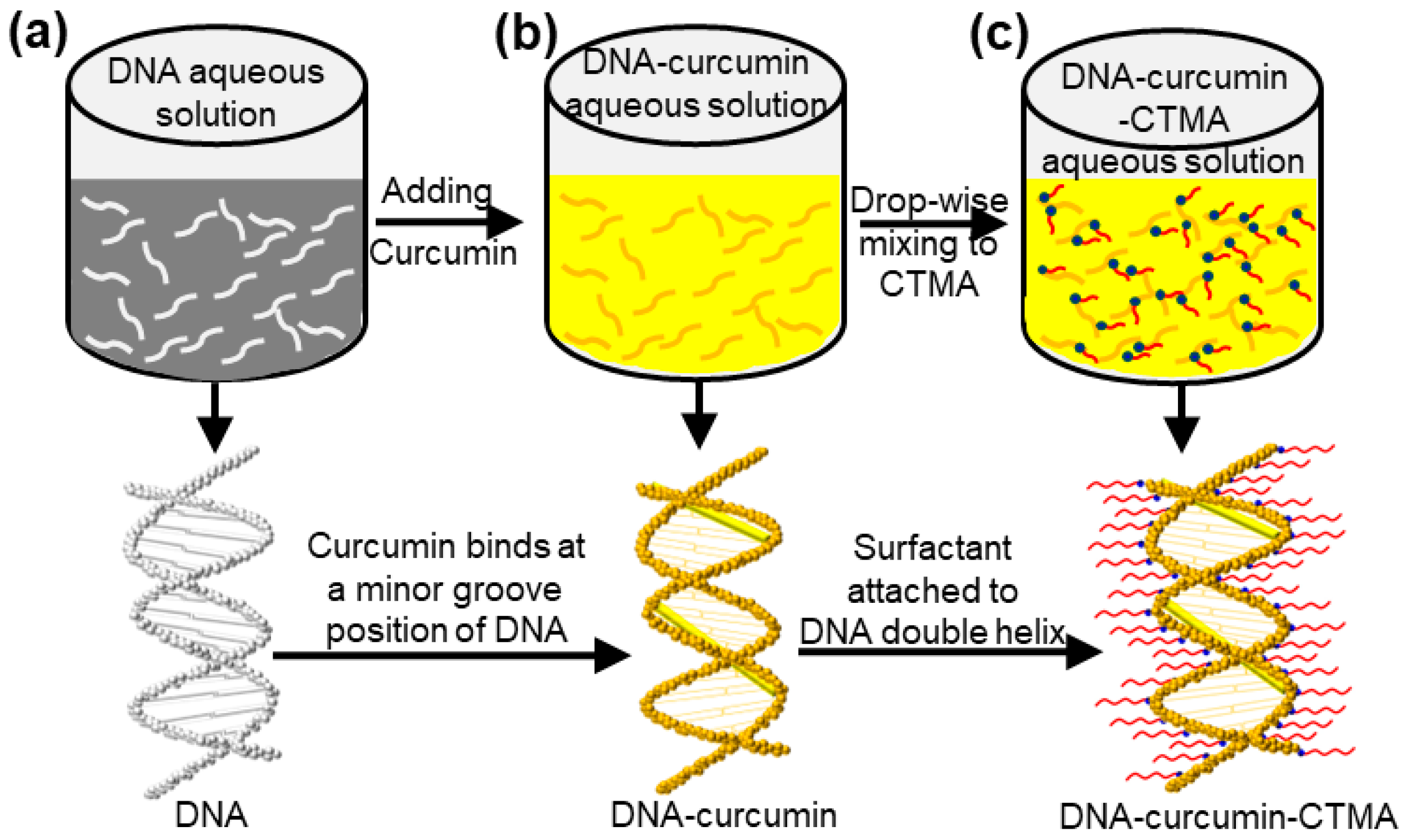 Biomolecules 14 00698 g001