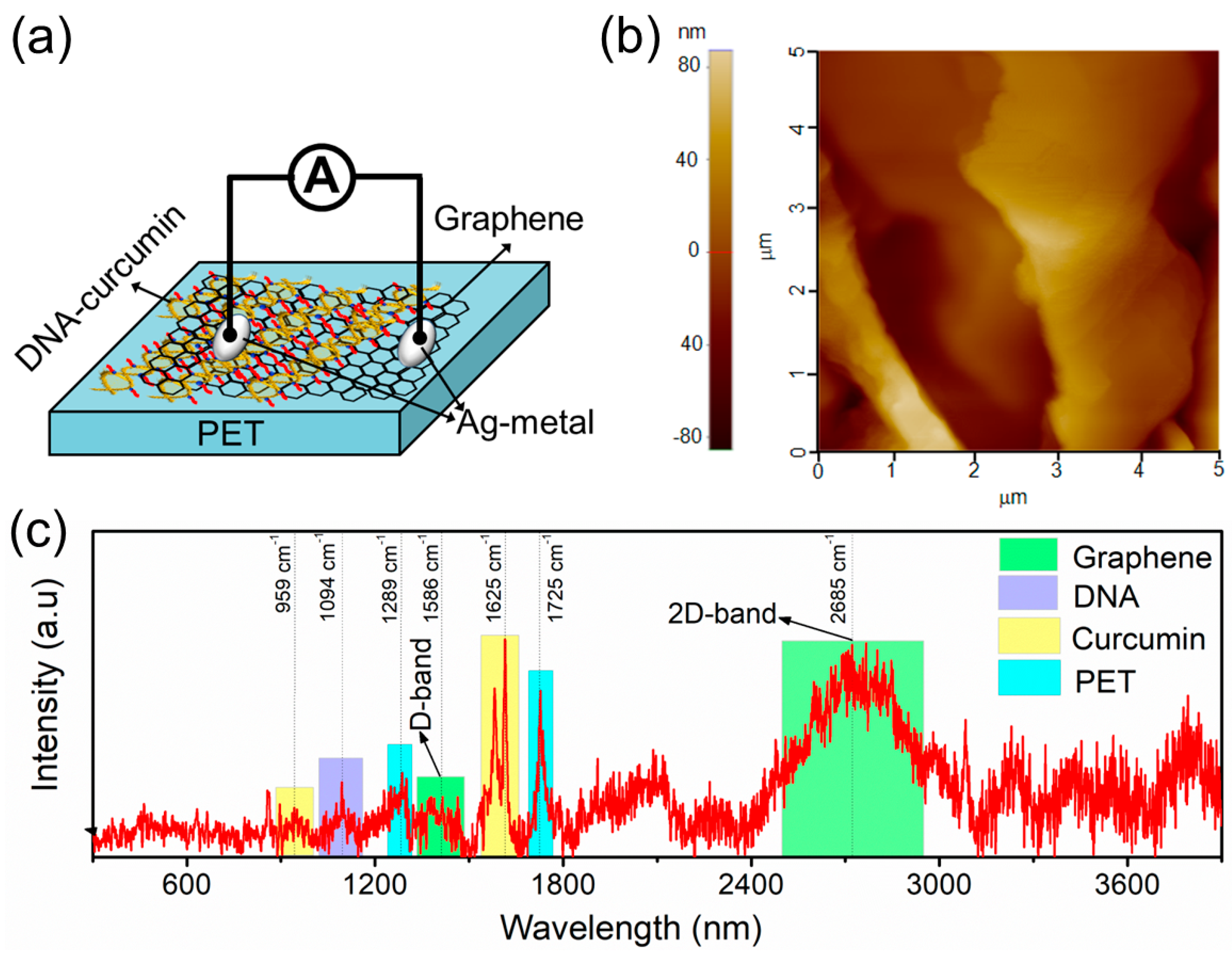 Biomolecules 14 00698 g002