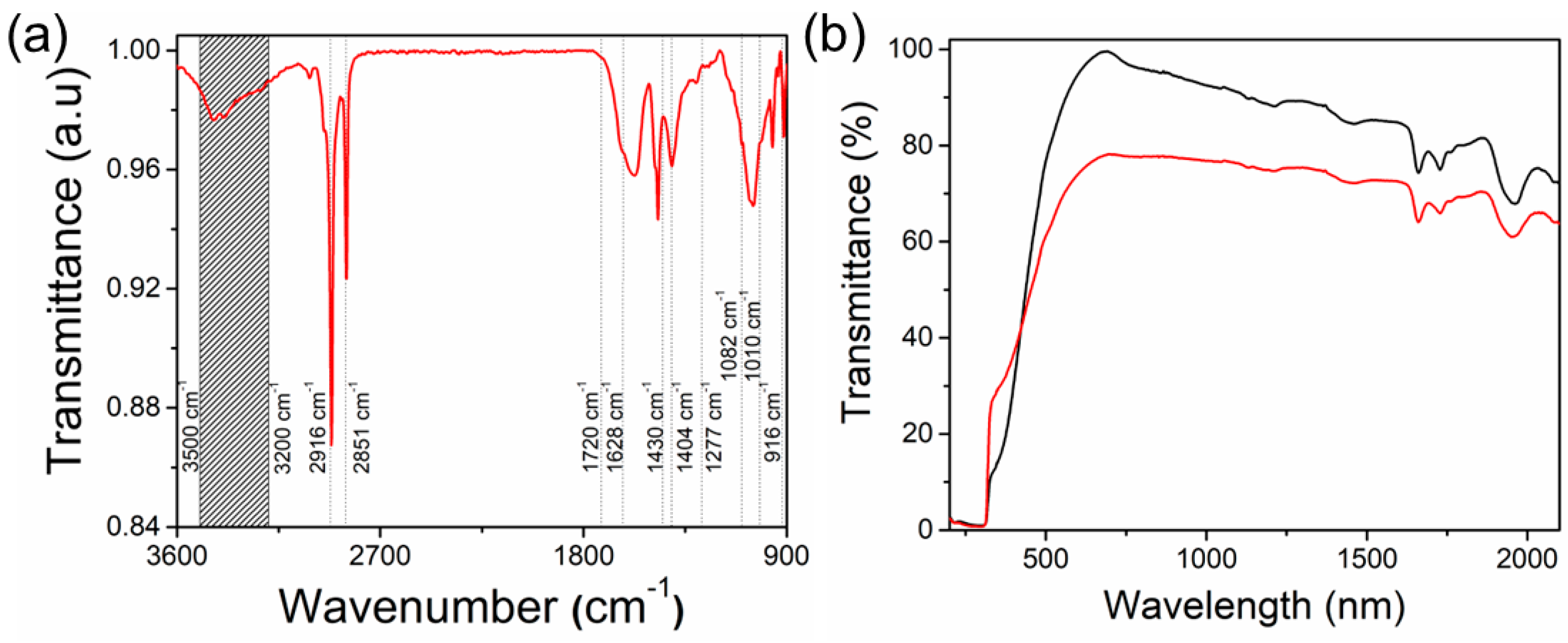 Biomolecules 14 00698 g003
