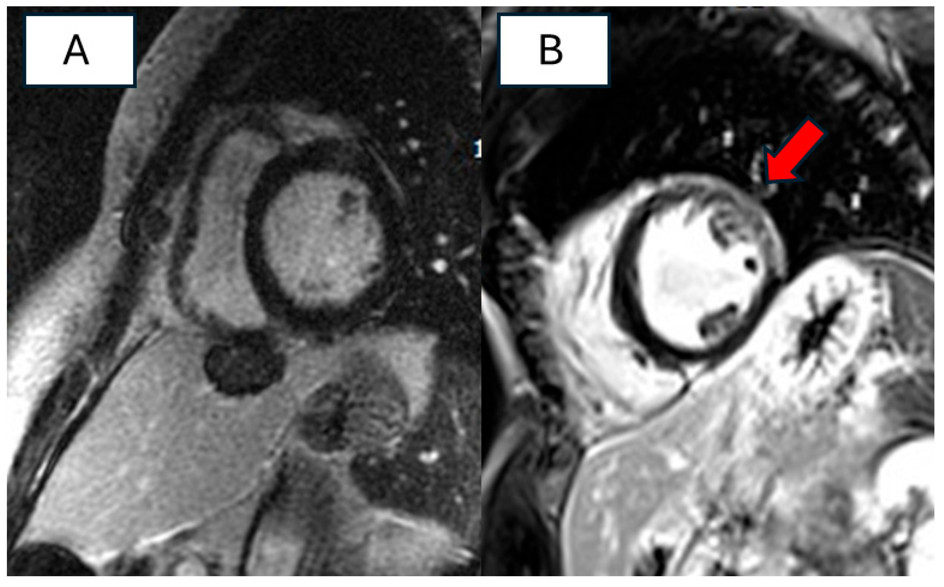 Biomolecules 14 00702 g002