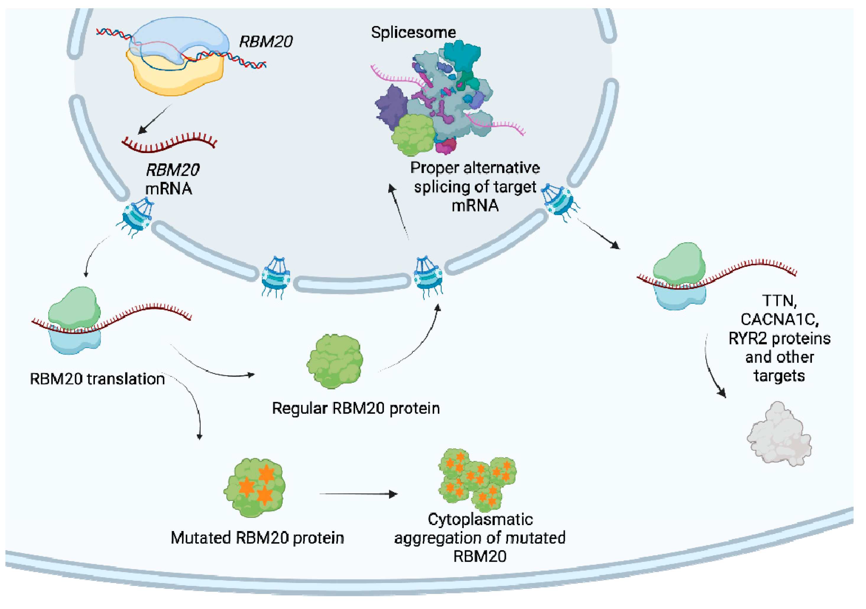 Biomolecules 14 00702 g003
