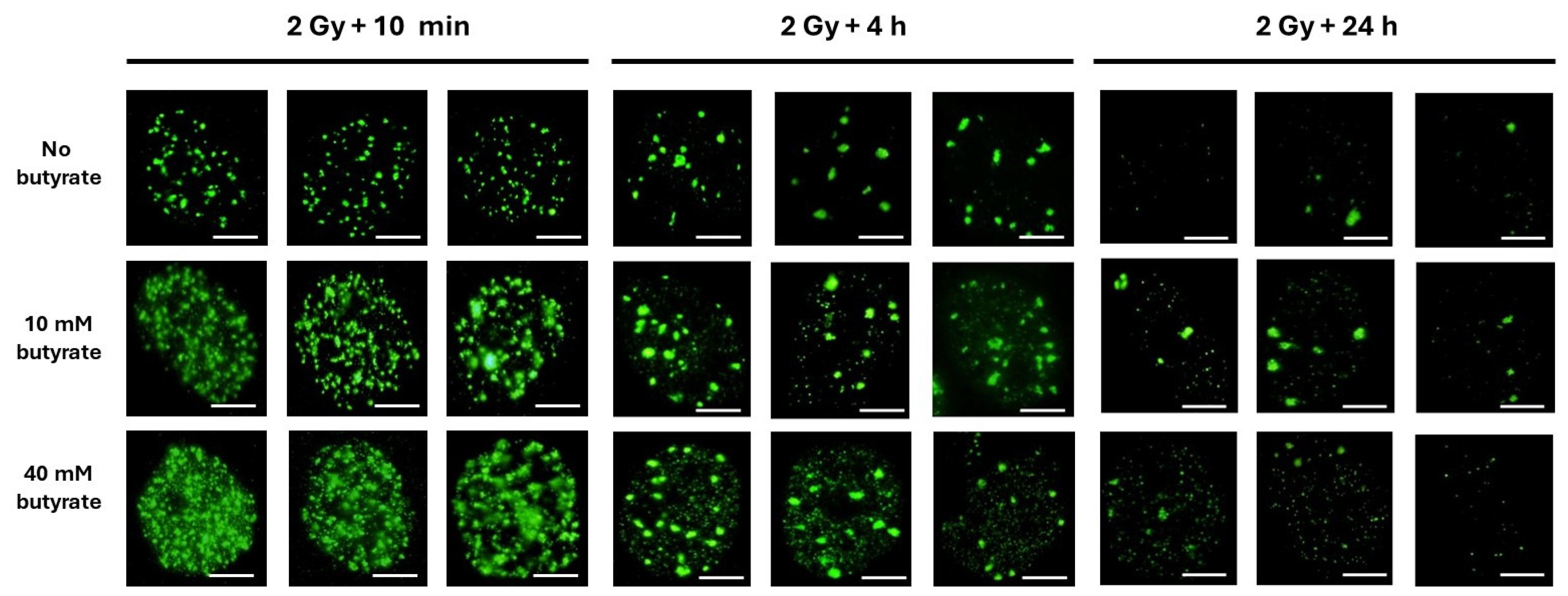 Biomolecules 14 00703 g004