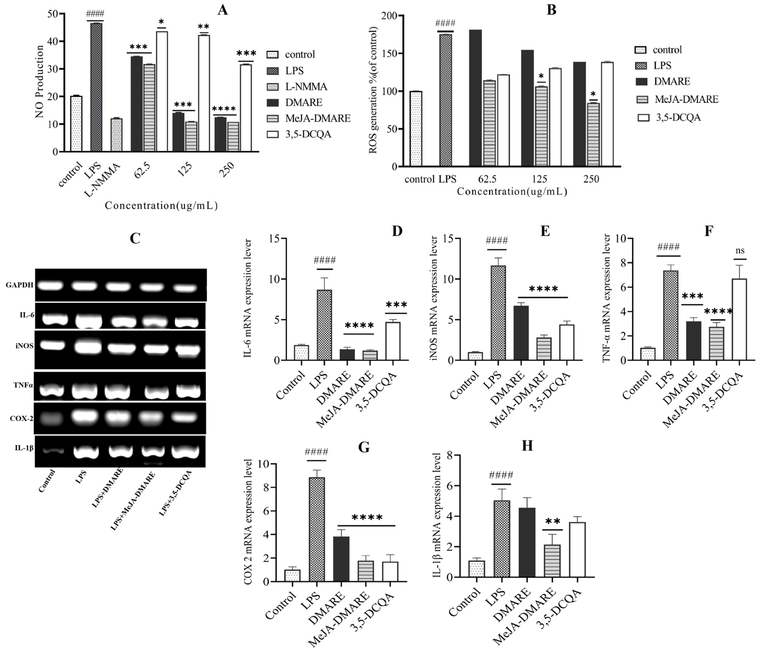 Biomolecules 14 00705 g005