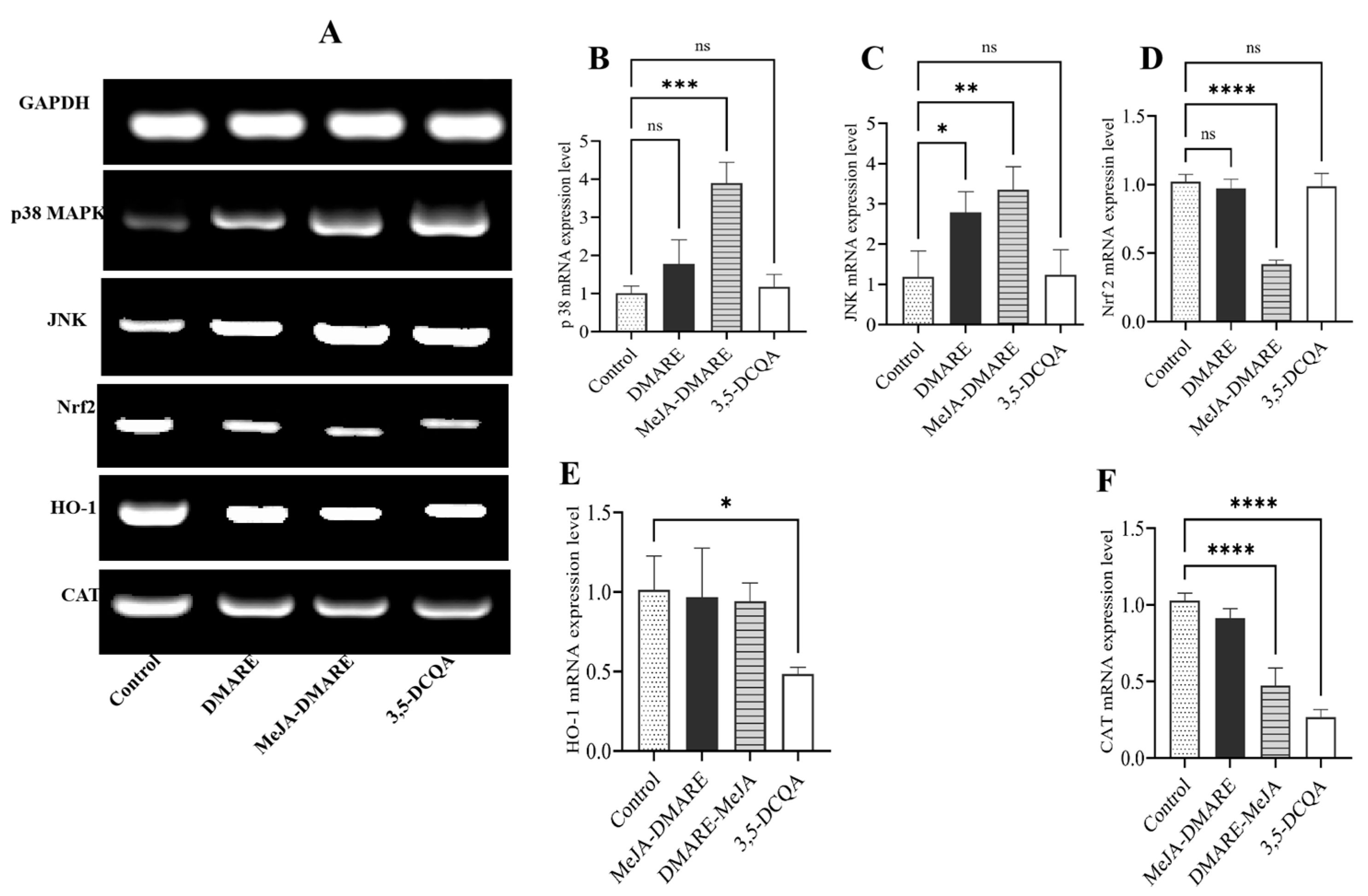 Biomolecules 14 00705 g007