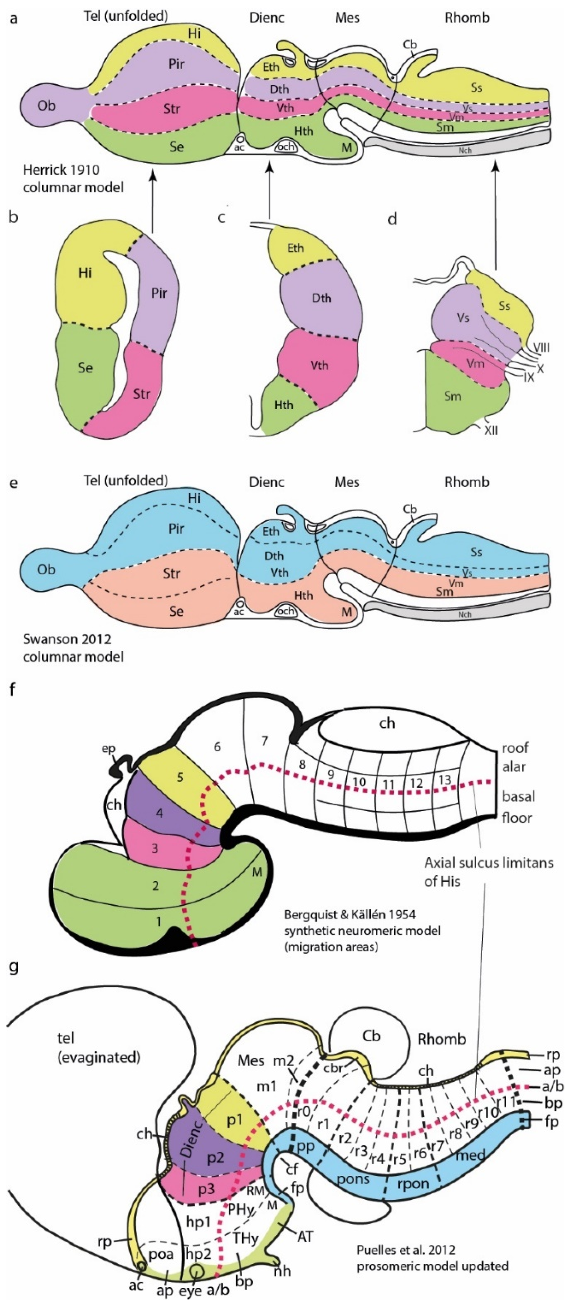 Biomolecules 14 00708 g001