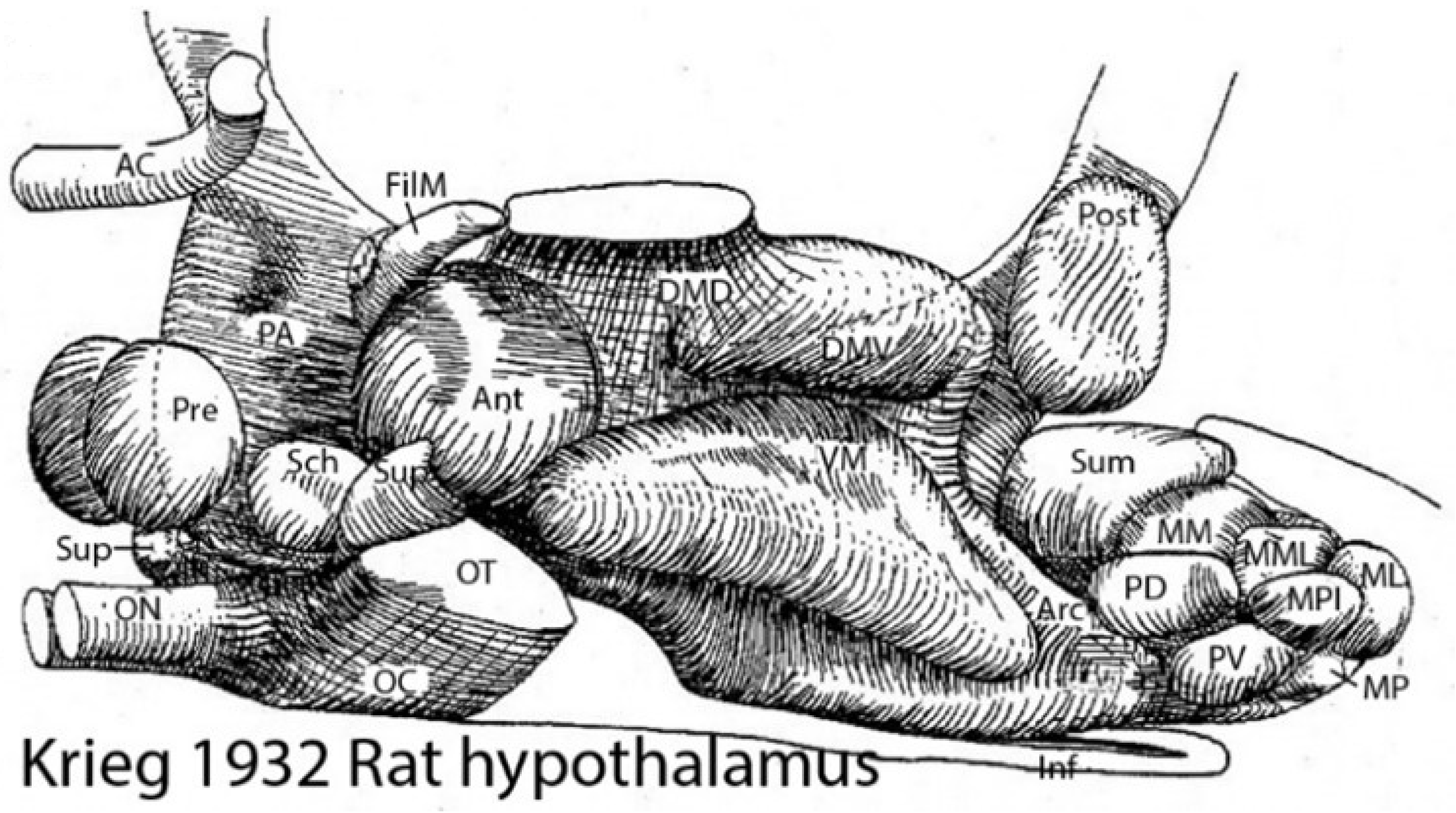 Biomolecules 14 00708 g002