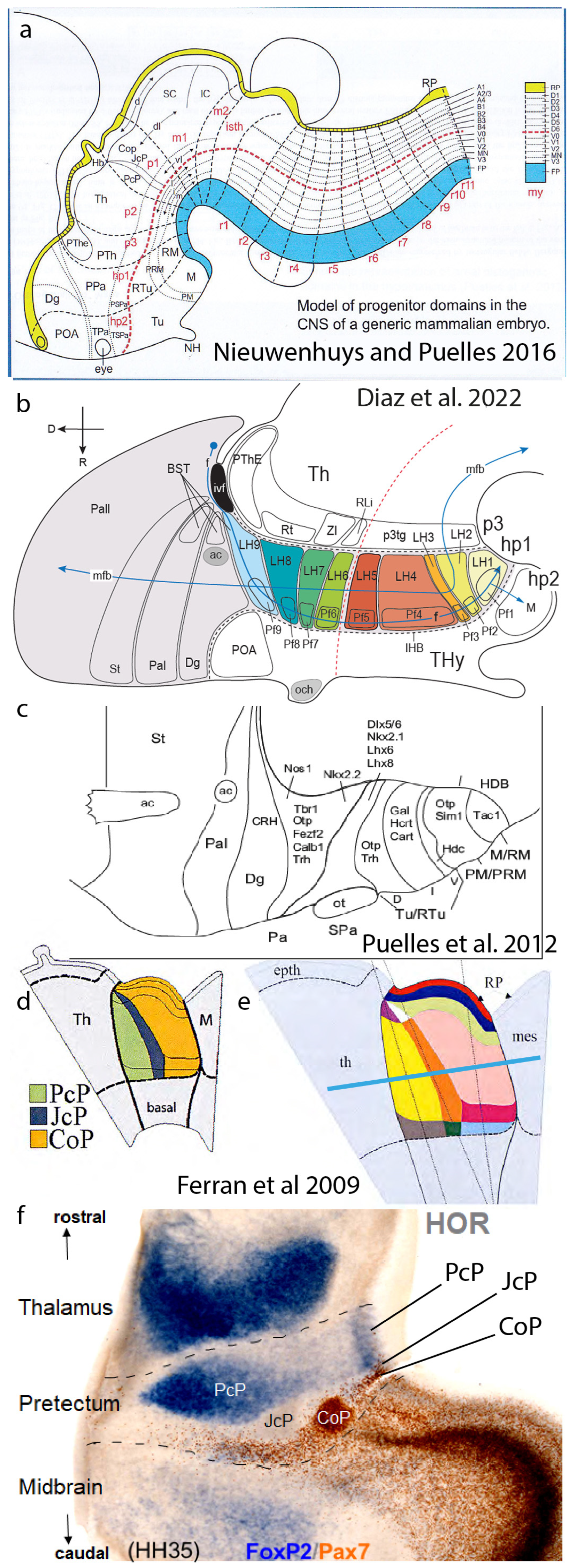 Biomolecules 14 00708 g006