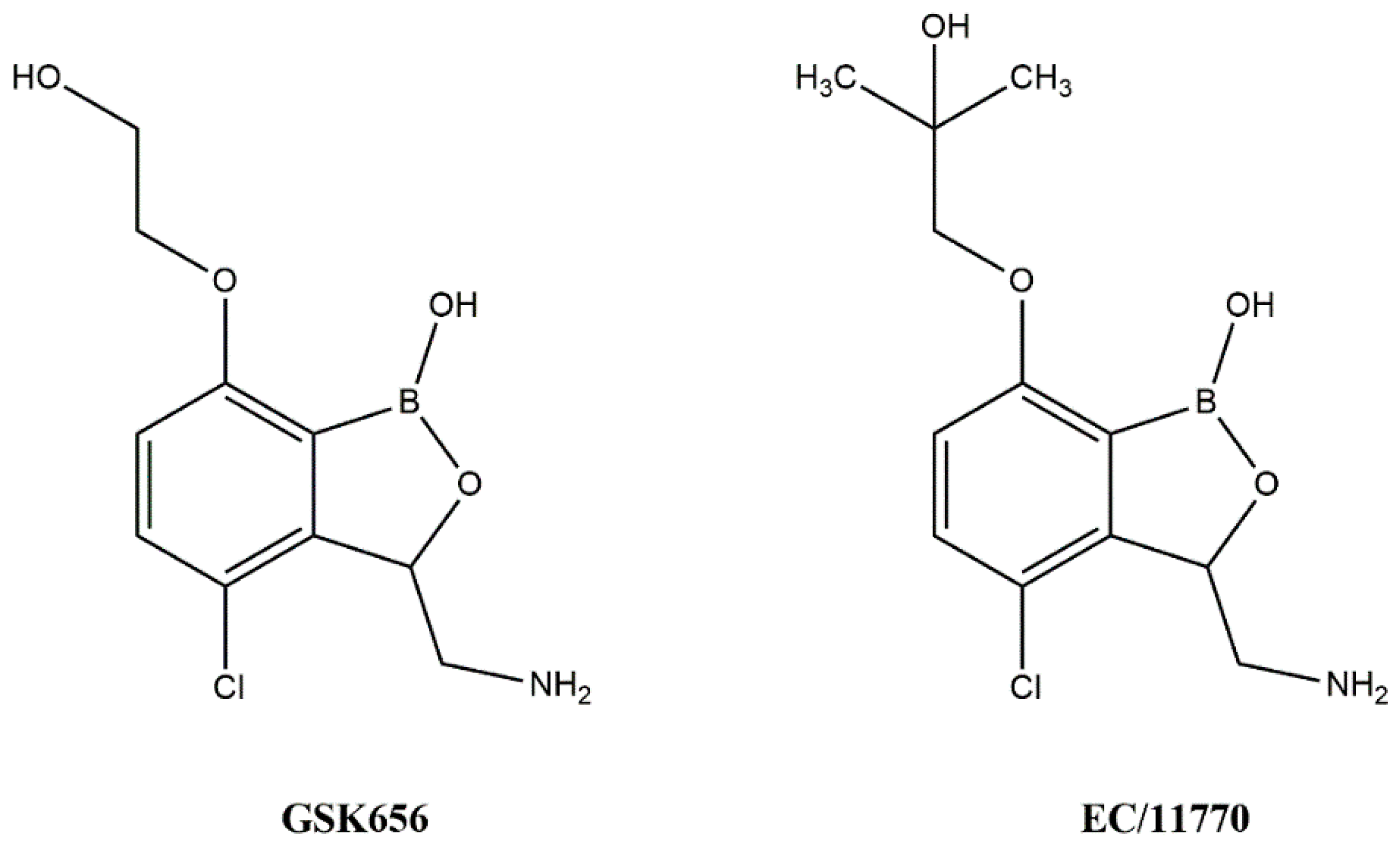 Biomolecules 14 00711 g001