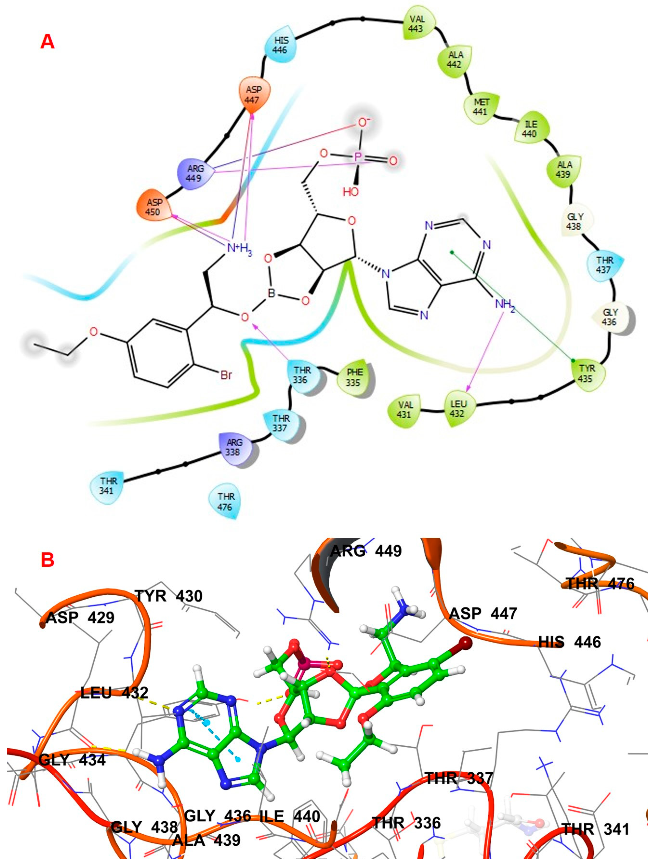 Biomolecules 14 00711 g003