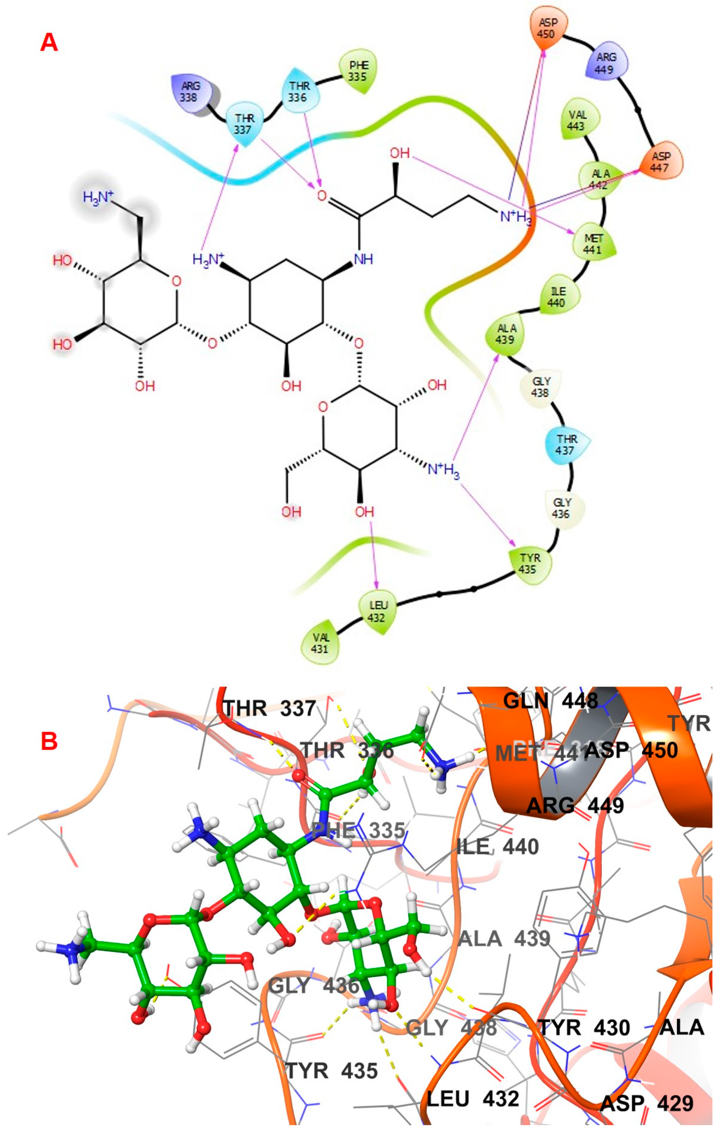 Biomolecules 14 00711 g006