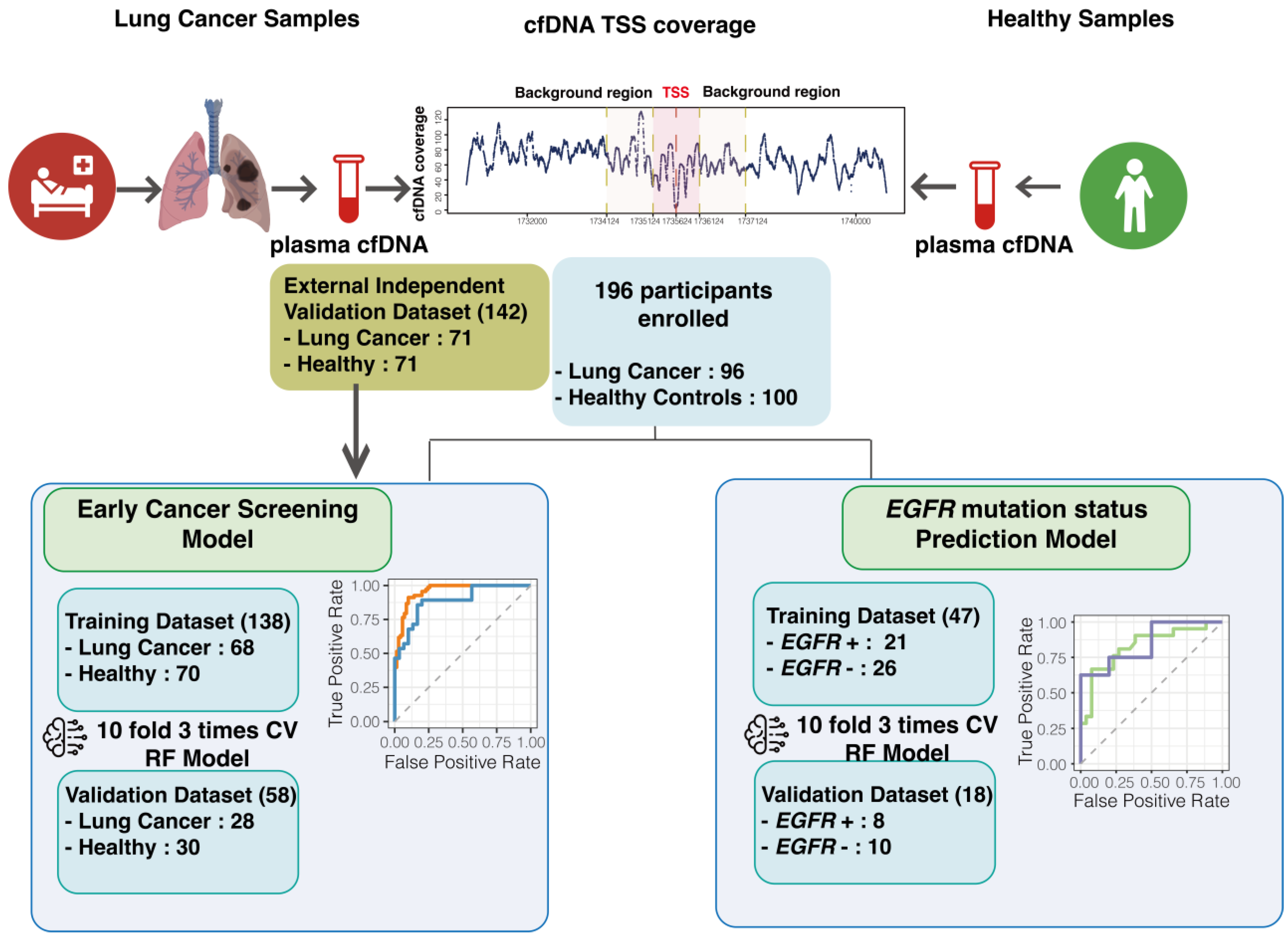 Biomolecules 14 00716 g001
