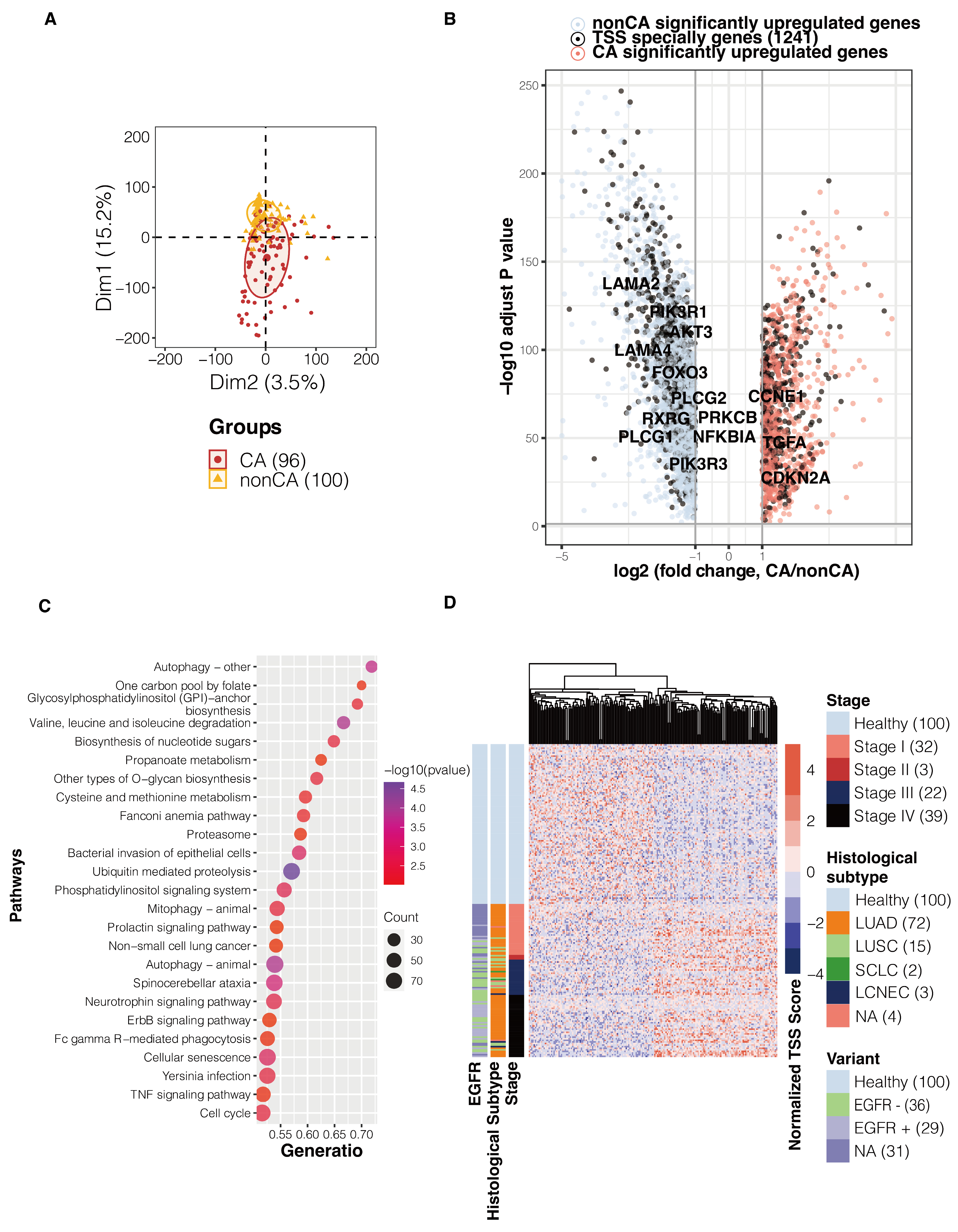 Biomolecules 14 00716 g002
