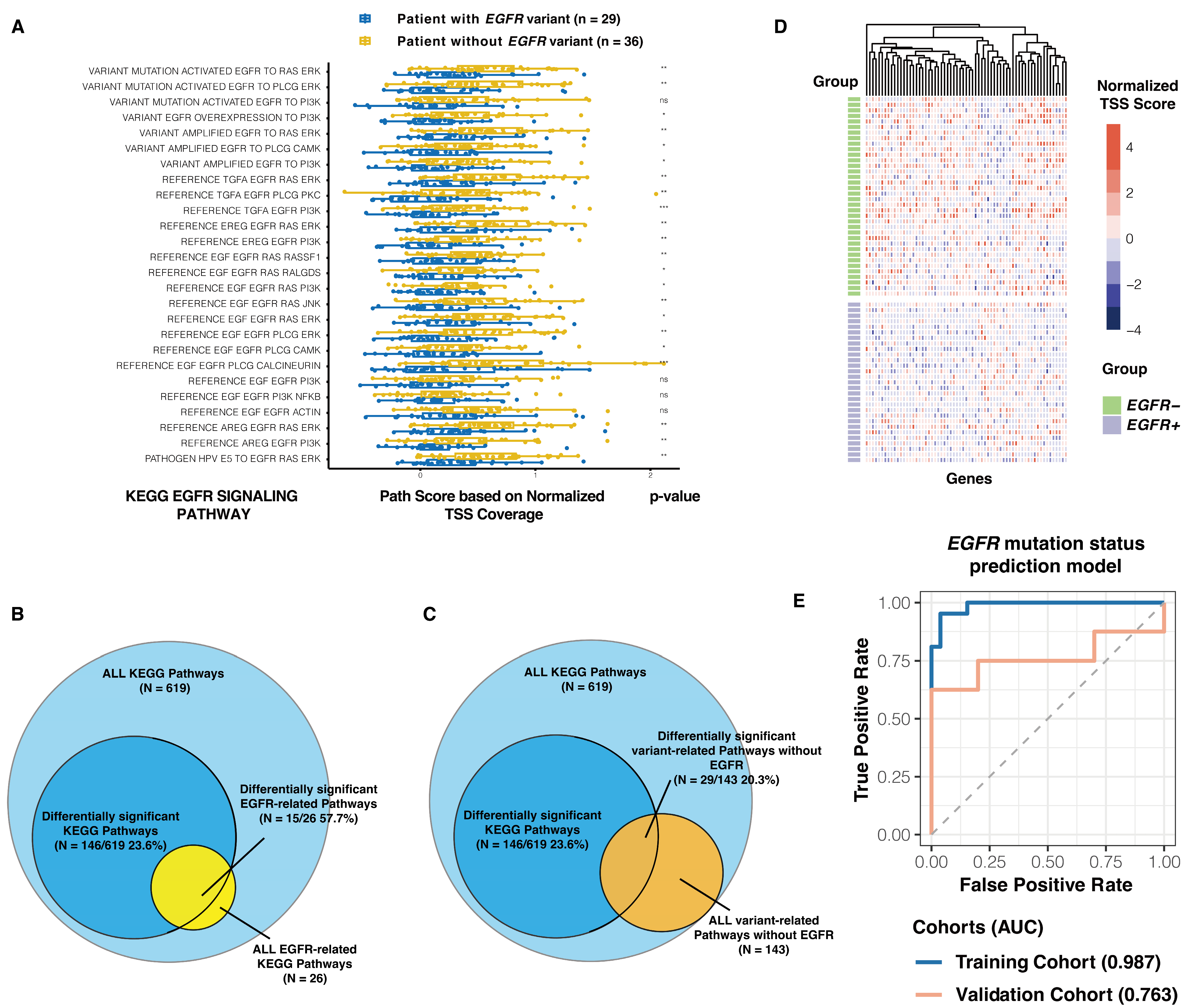 Biomolecules 14 00716 g004