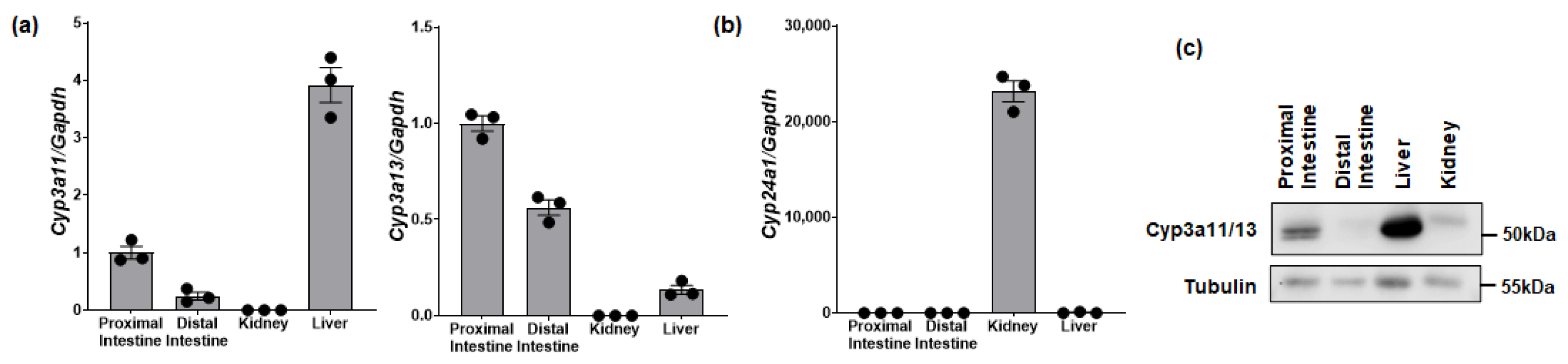 Biomolecules 14 00717 g003