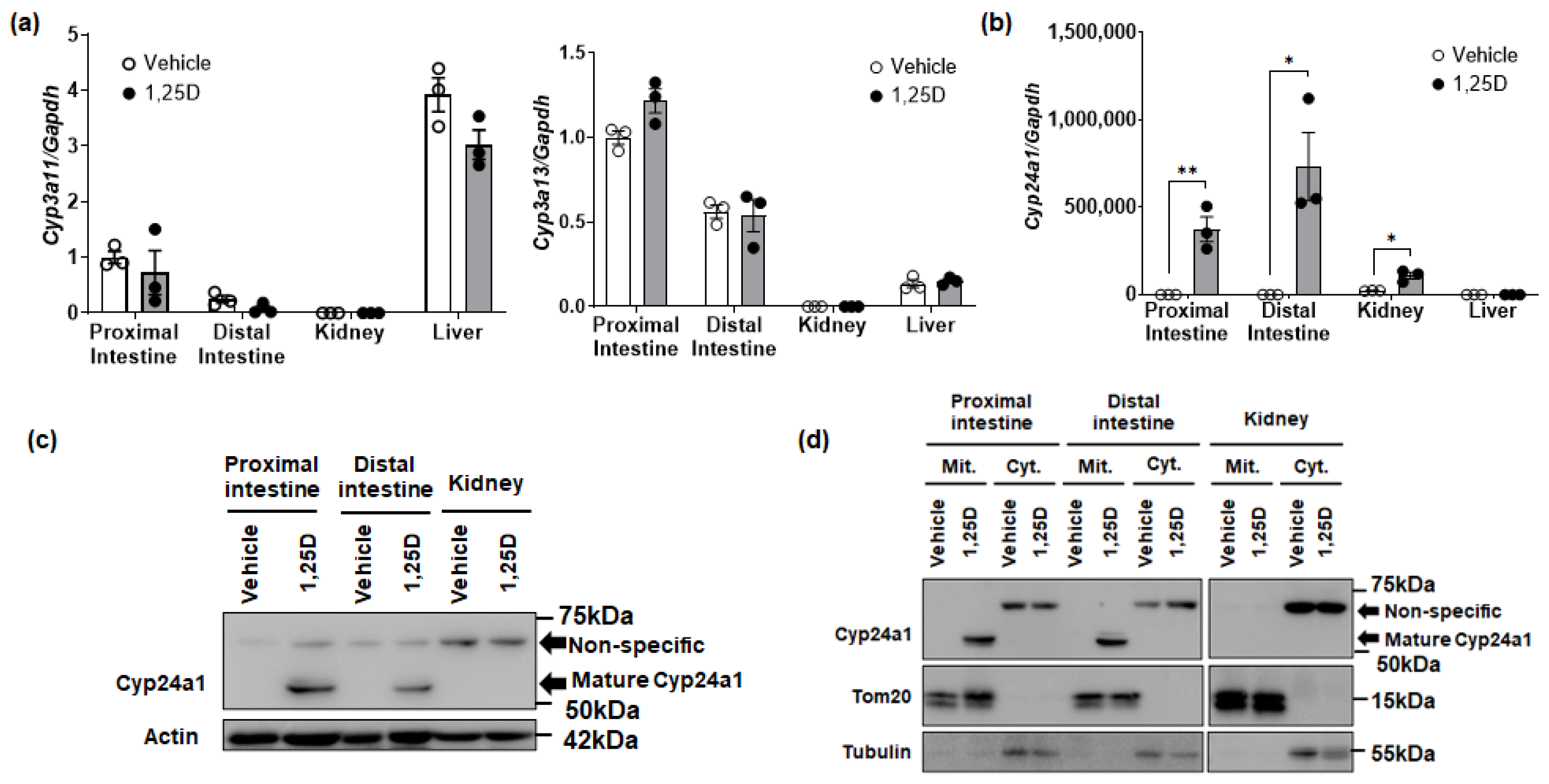 Biomolecules 14 00717 g004