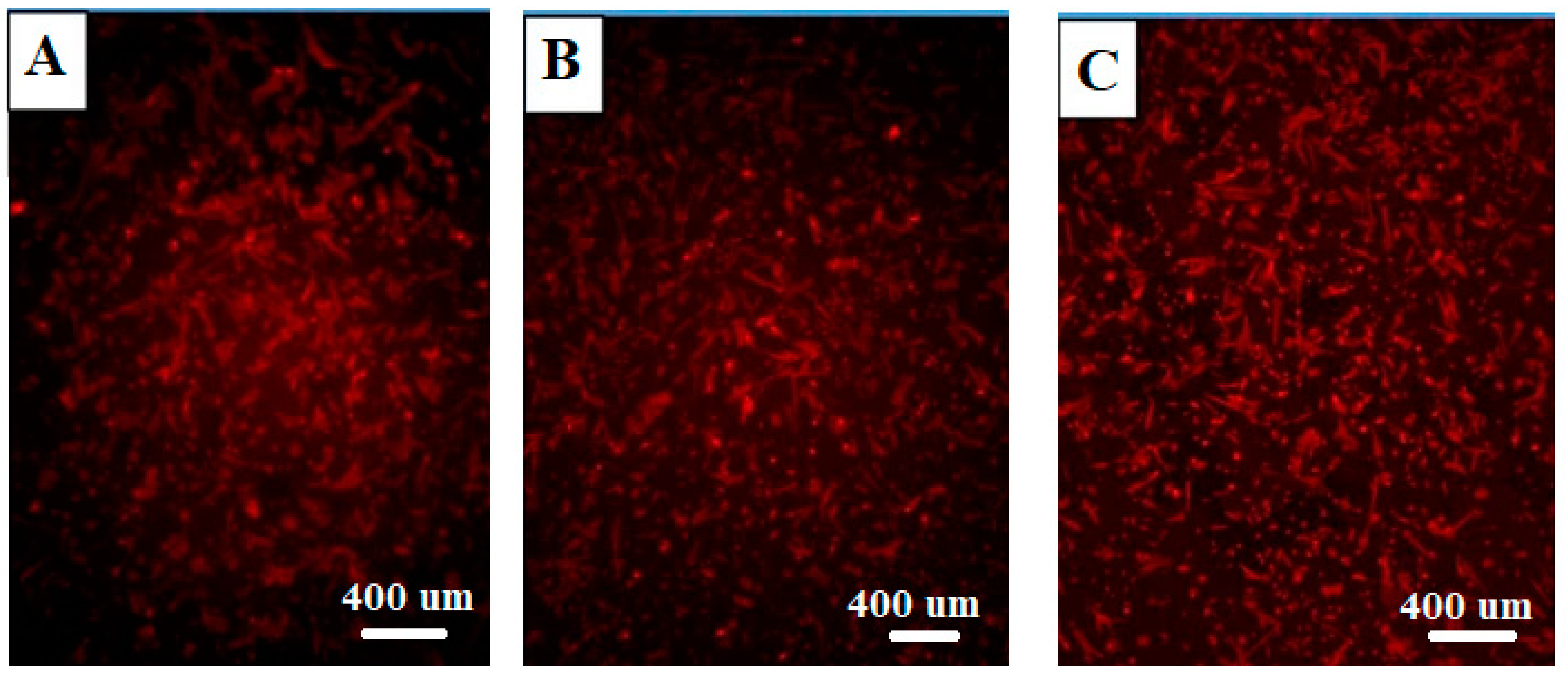 Biomolecules 14 00719 g002