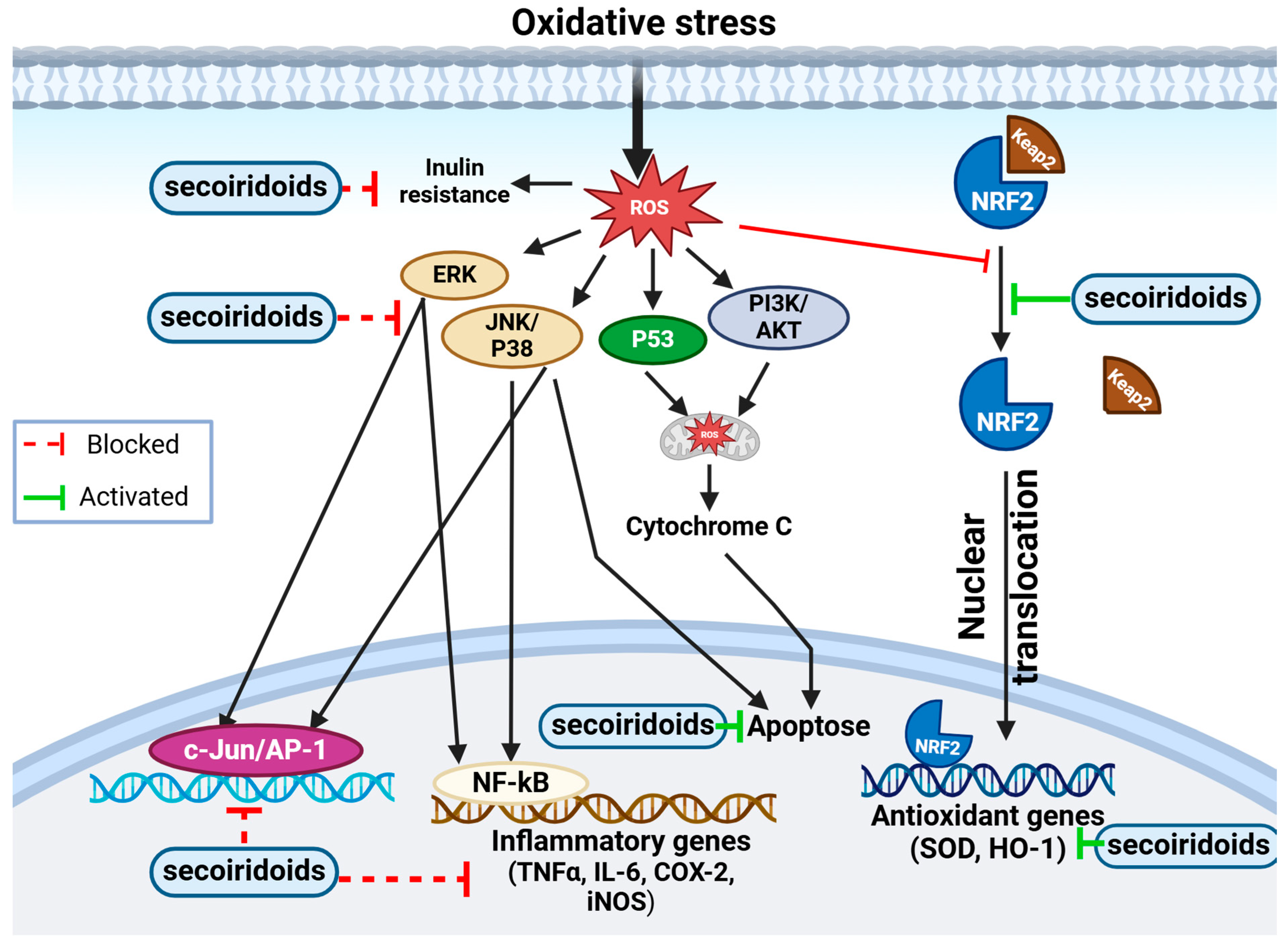 Biomolecules 14 00722 g007