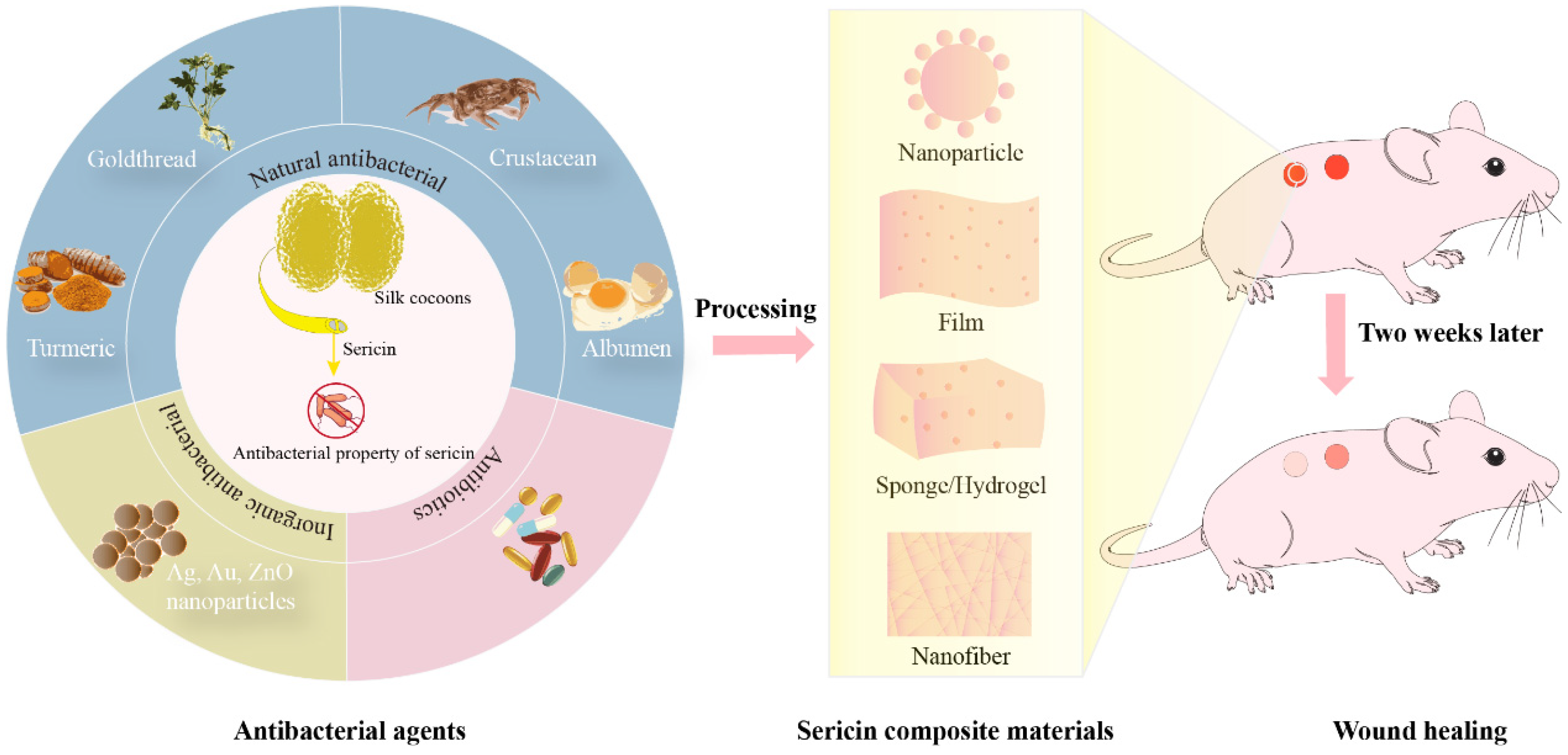 Biomolecules 14 00723 g001