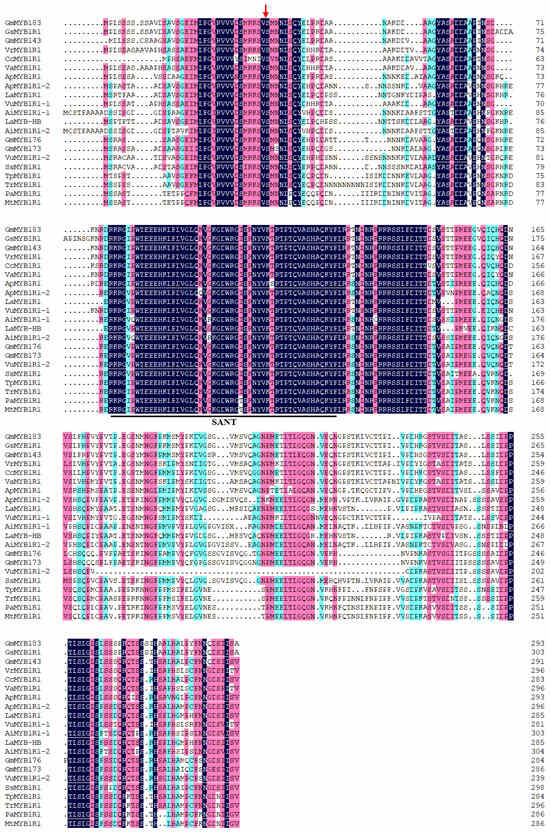 GmMYB183, a R2R3-MYB Transcription Factor in Tamba Black