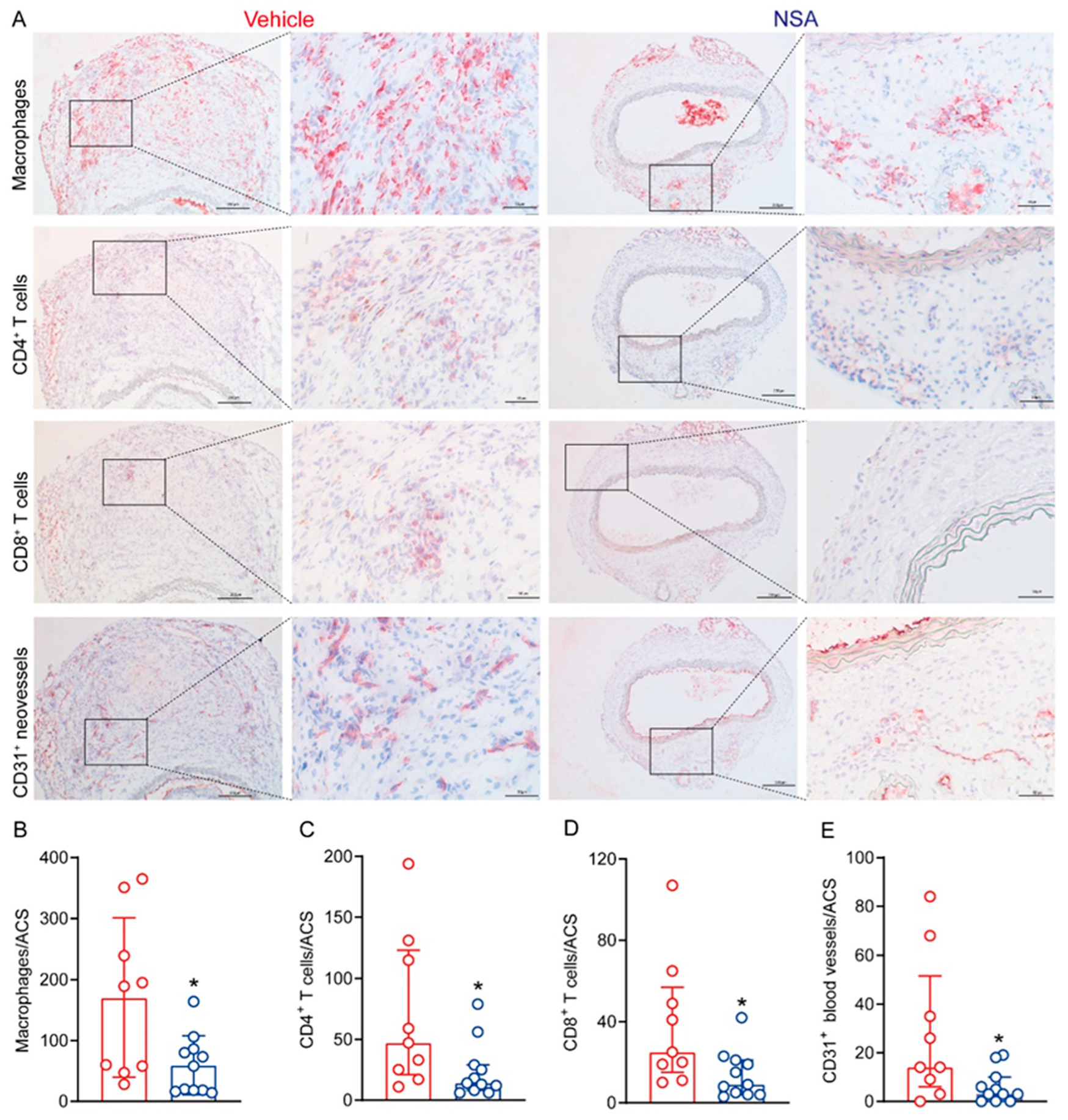 Biomolecules 14 00726 g005