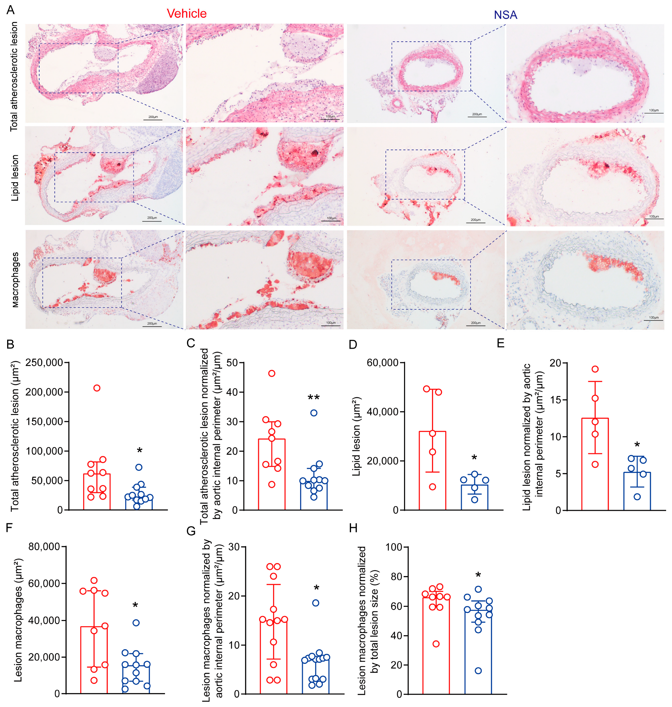 Biomolecules 14 00726 g006