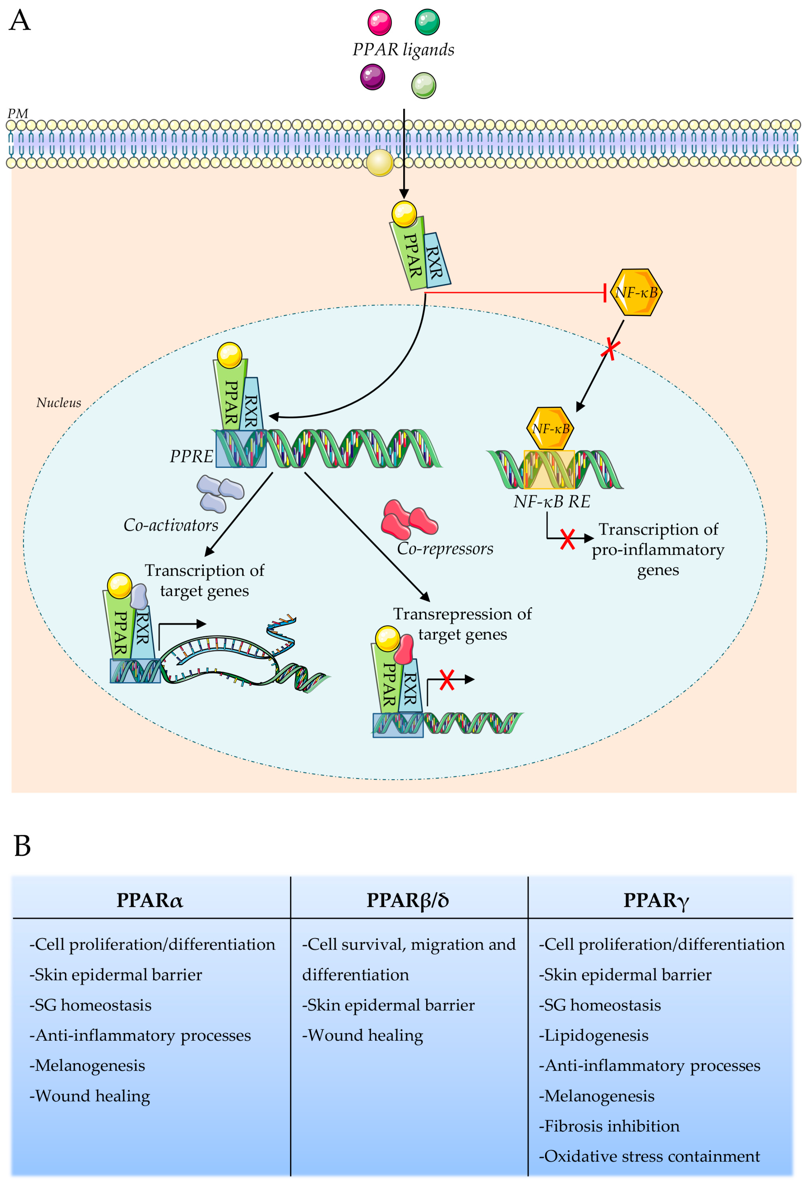 Biomolecules 14 00728 g001 Biomolecules 14 00728 g001