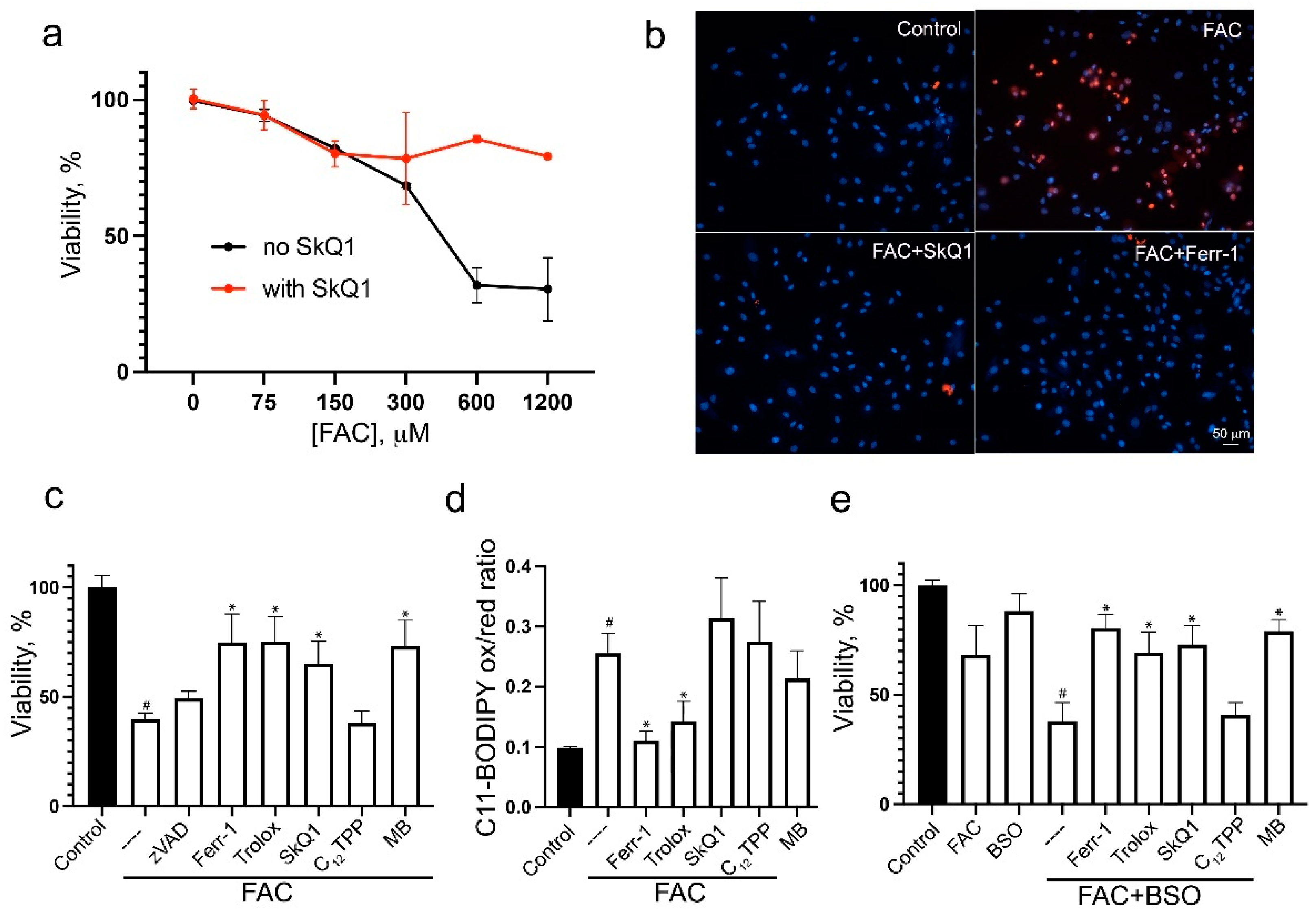 Biomolecules 14 00730 g001