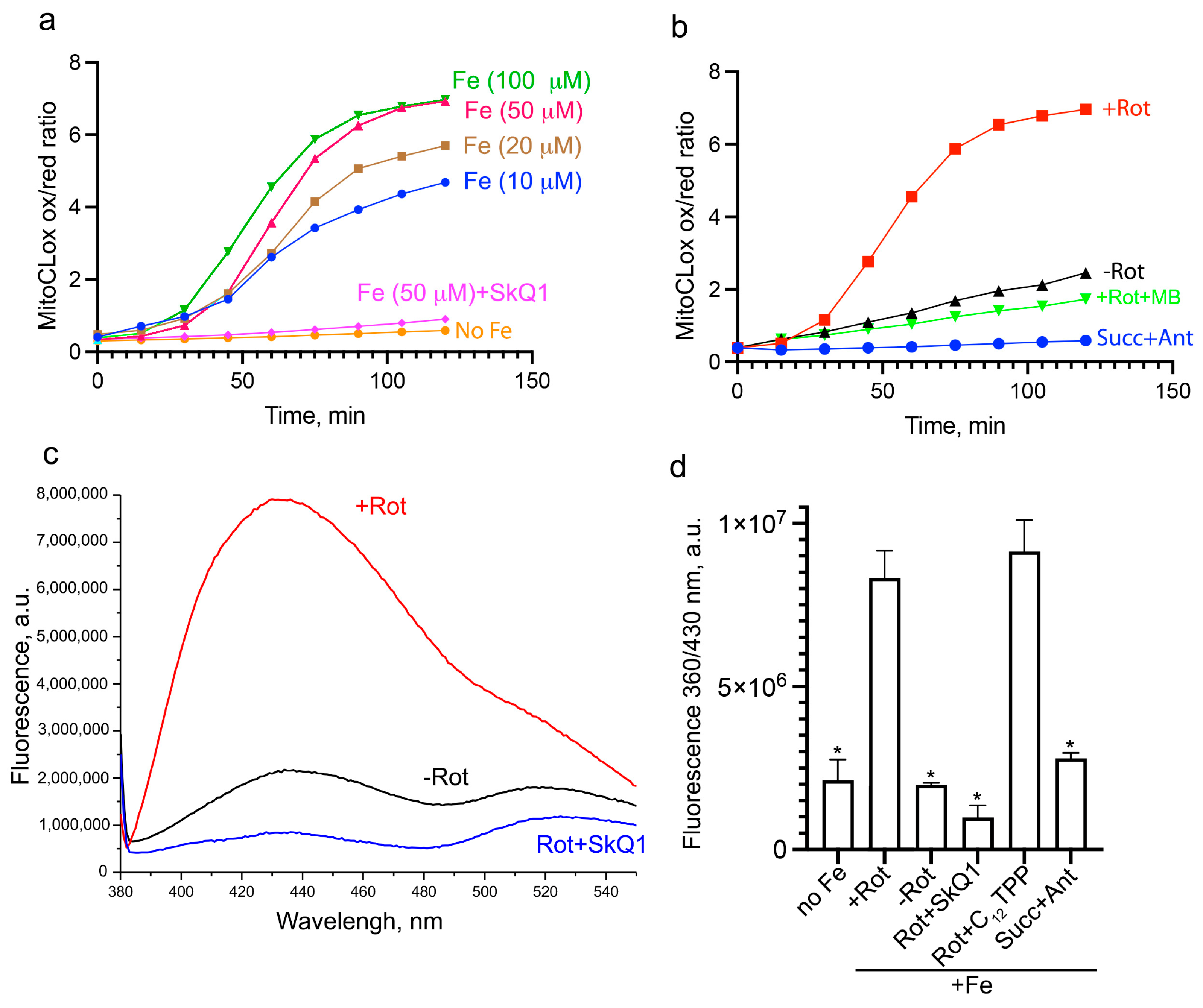 Biomolecules 14 00730 g004