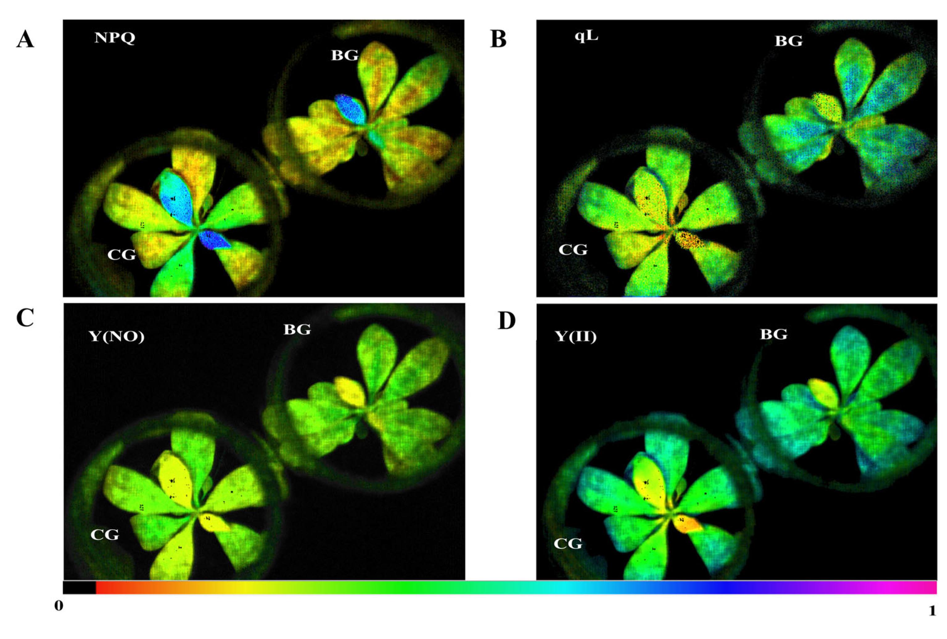 Biomolecules 14 00732 g001 Biomolecules 14 00732 g001