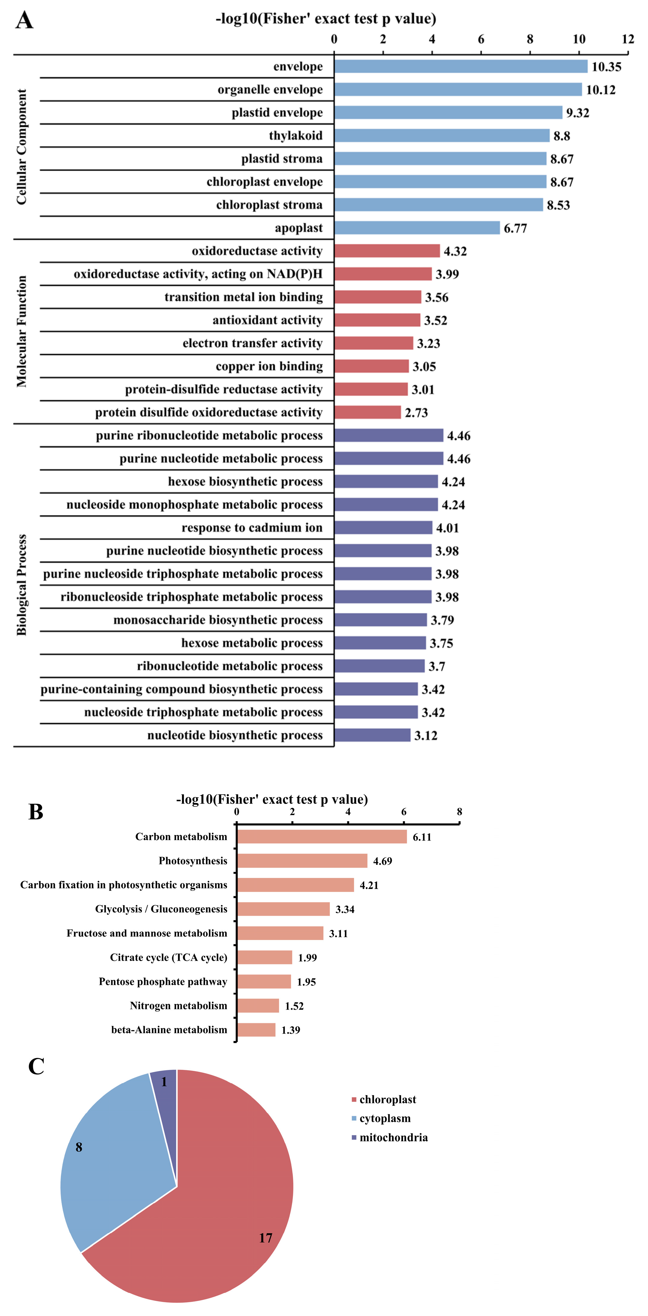 Biomolecules 14 00732 g004 Biomolecules 14 00732 g004