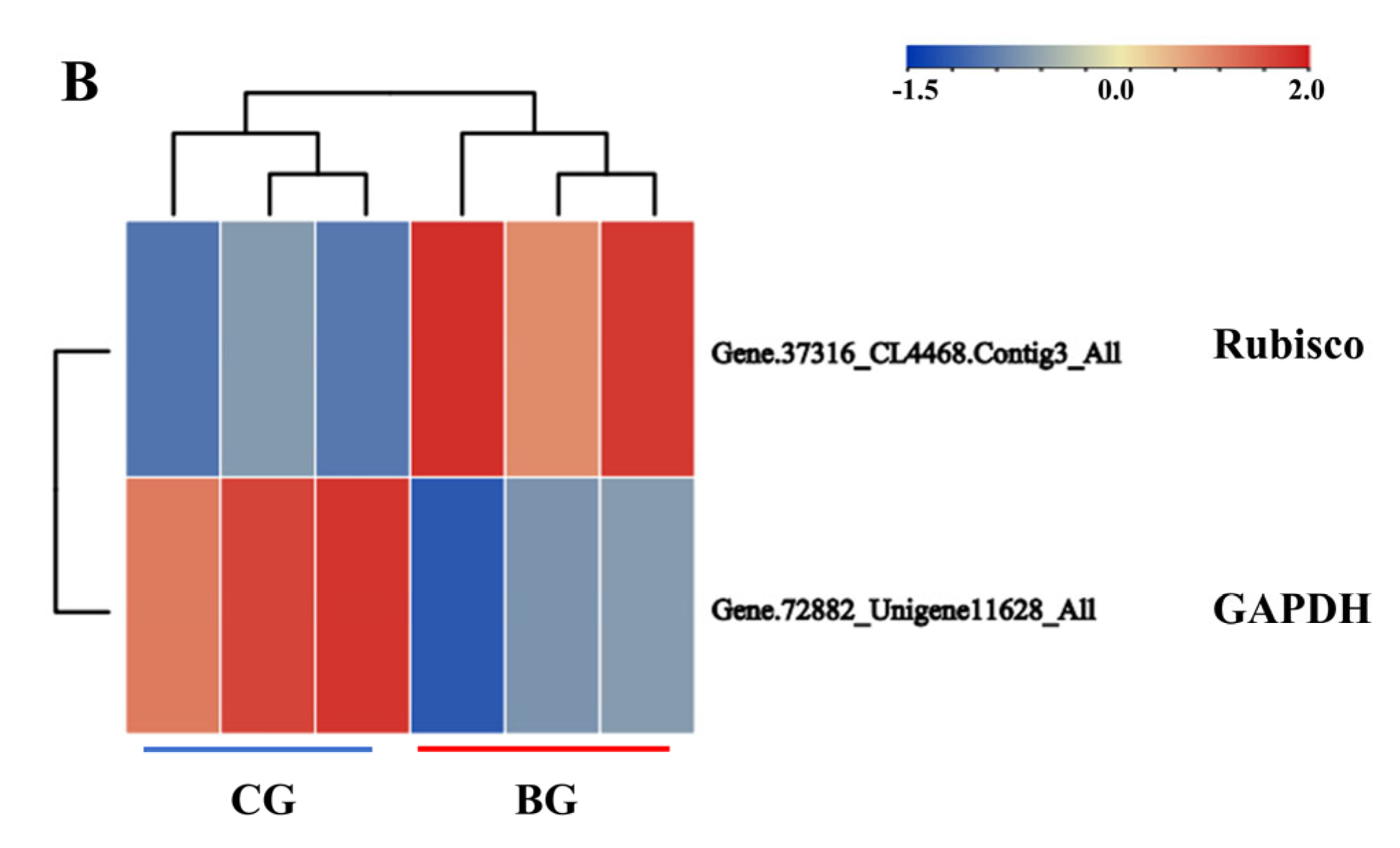 Biomolecules 14 00732 g005b Biomolecules 14 00732 g005b