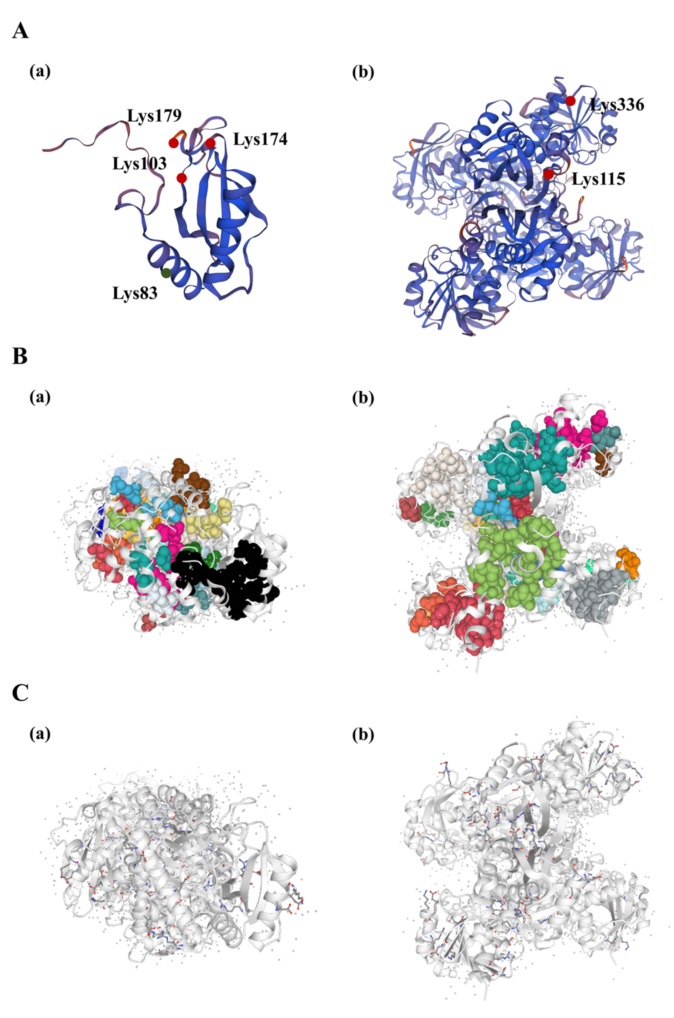 Biomolecules 14 00732 g006 Biomolecules 14 00732 g006