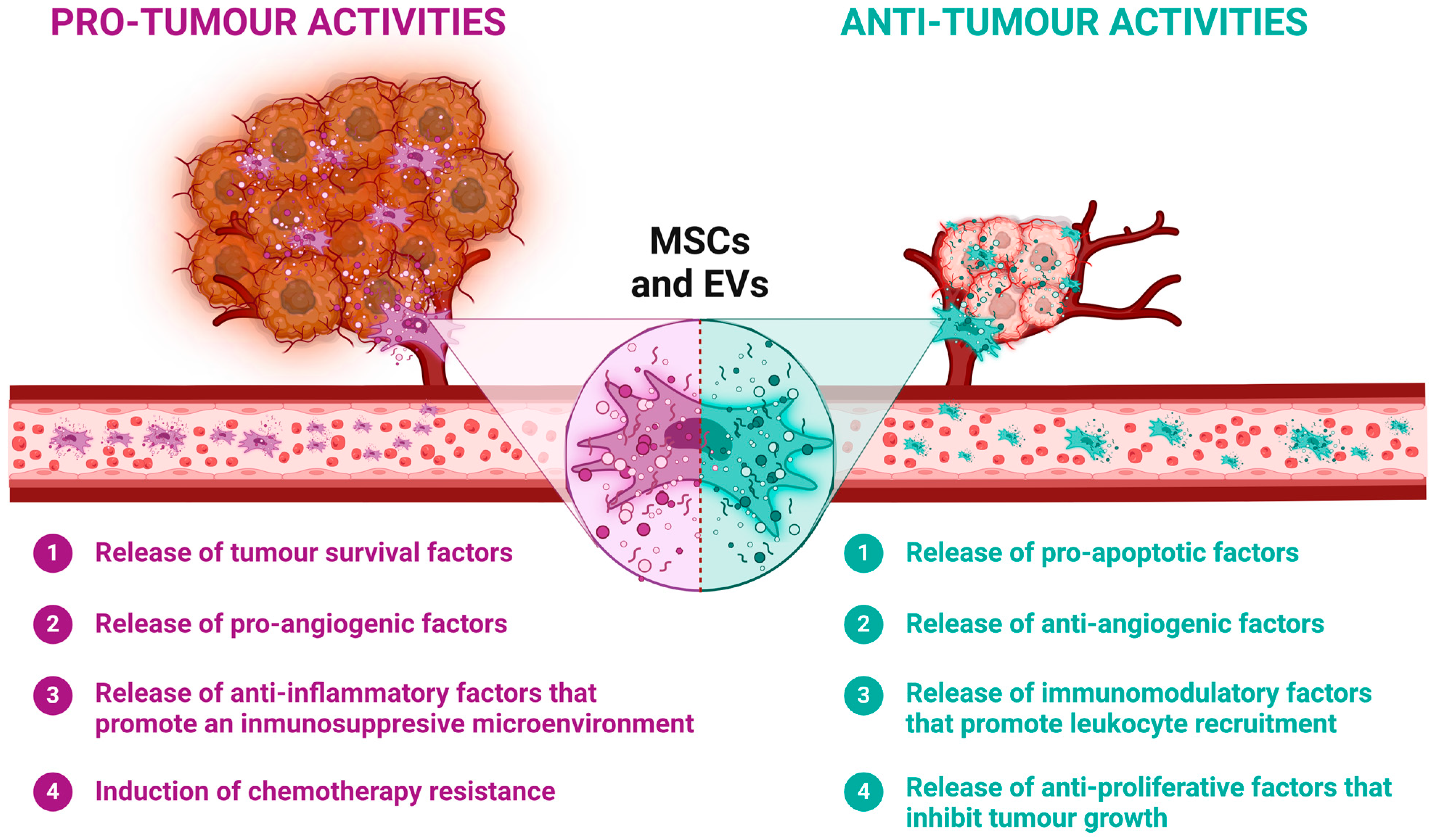 Biomolecules 14 00734 g001