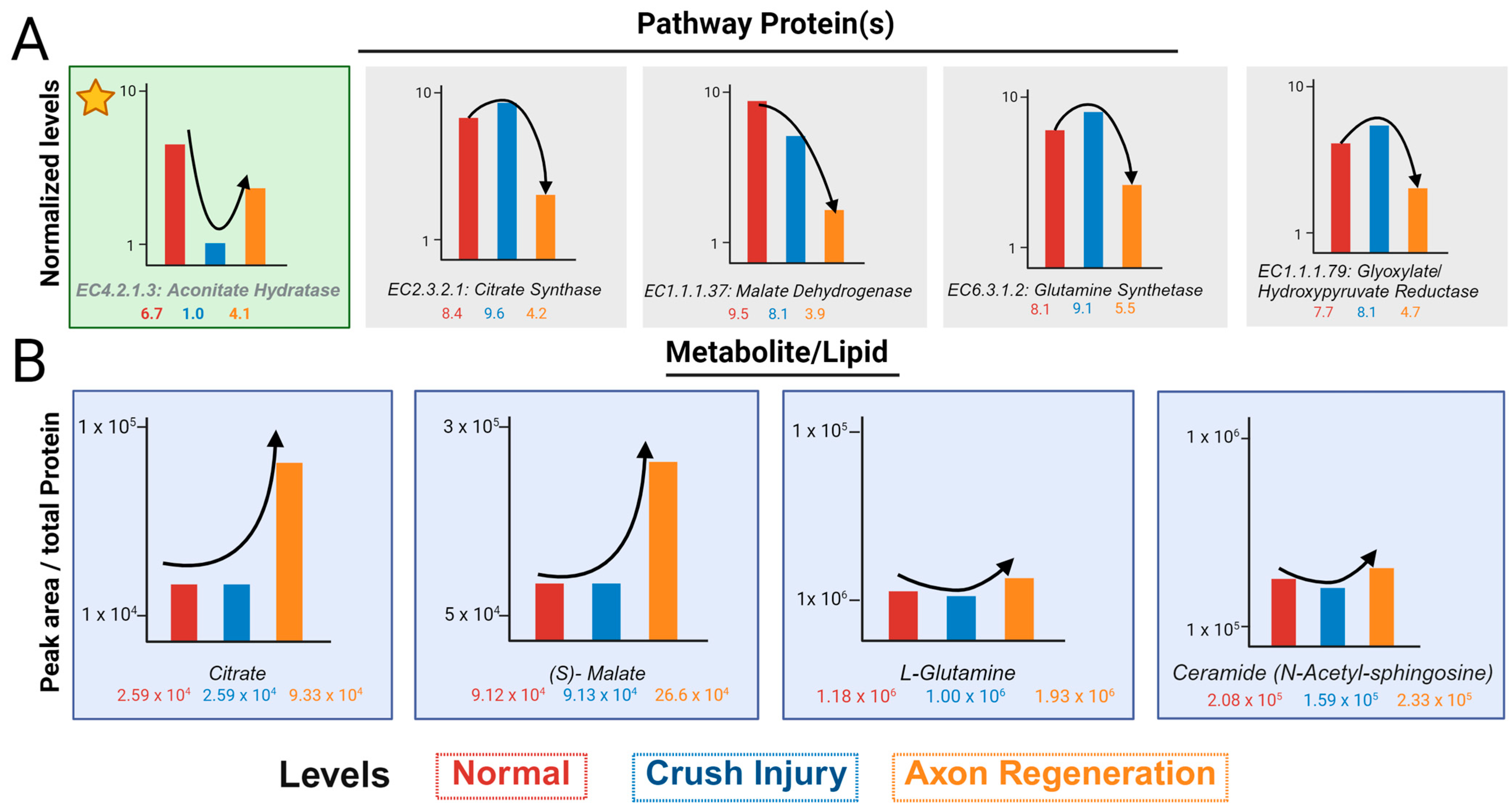 Biomolecules 14 00735 g004
