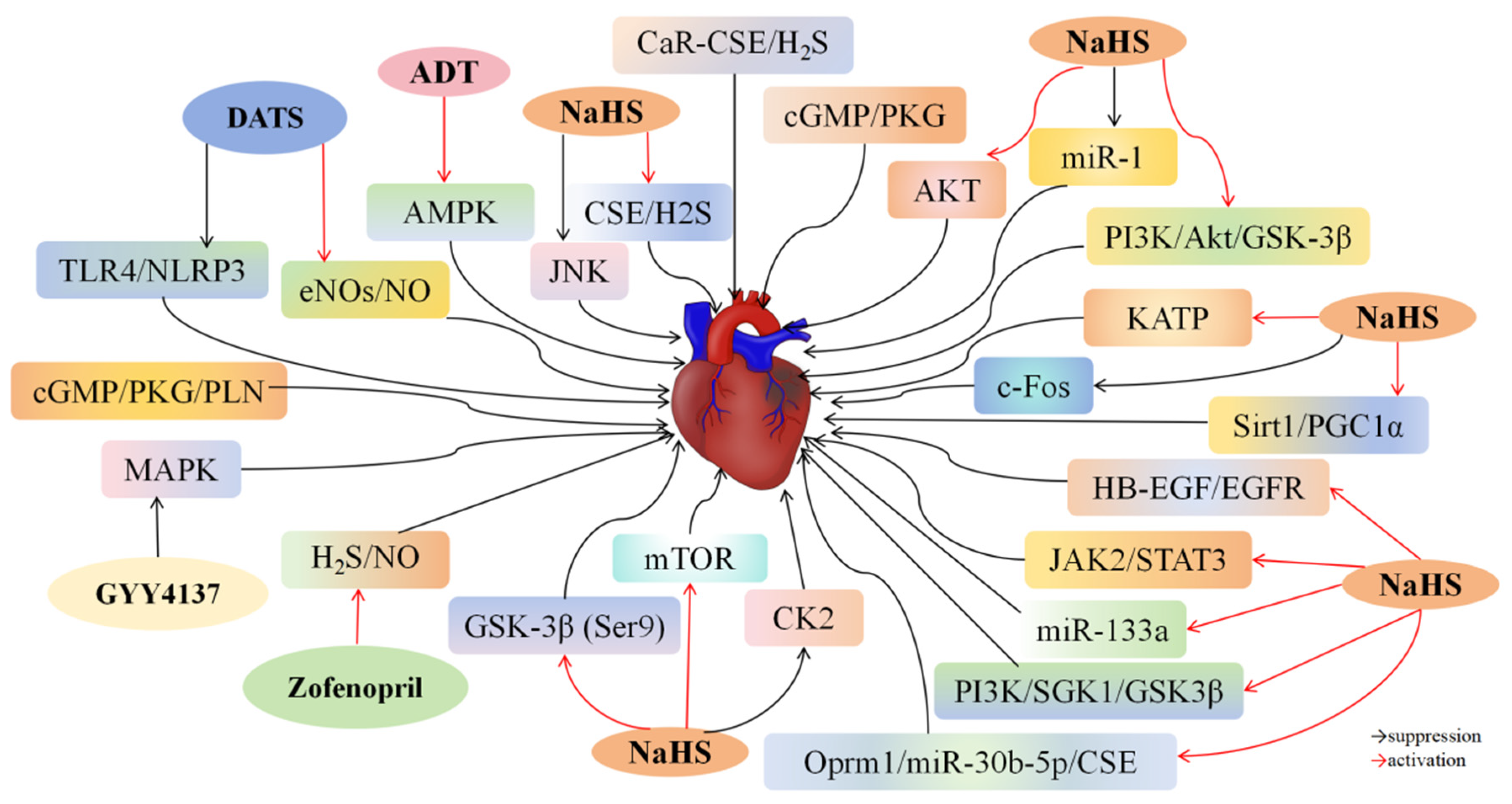Biomolecules 14 00740 g002